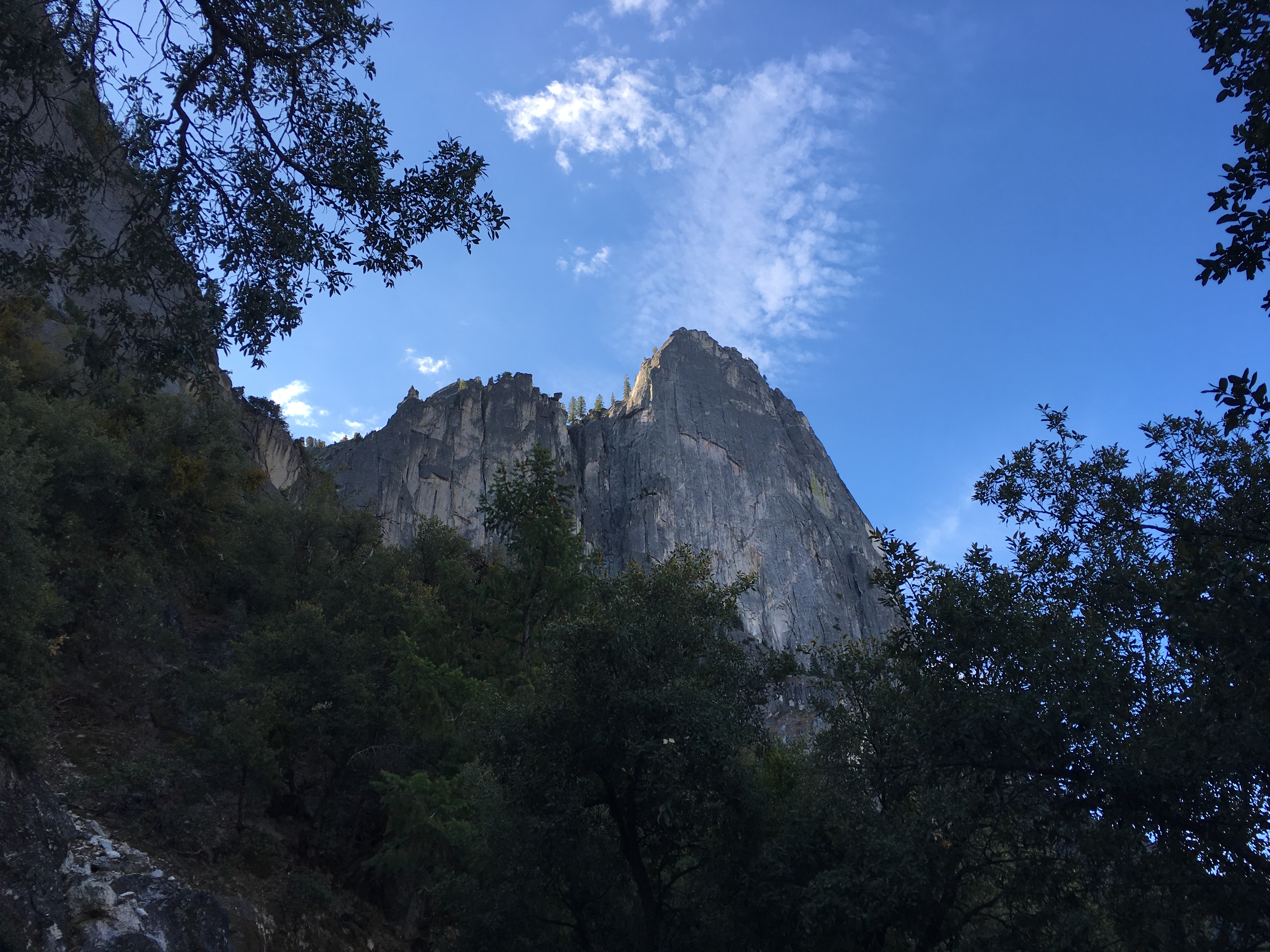 2015-09-26 08.45.38.jpg