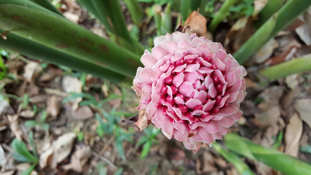 20150817_092144.jpg