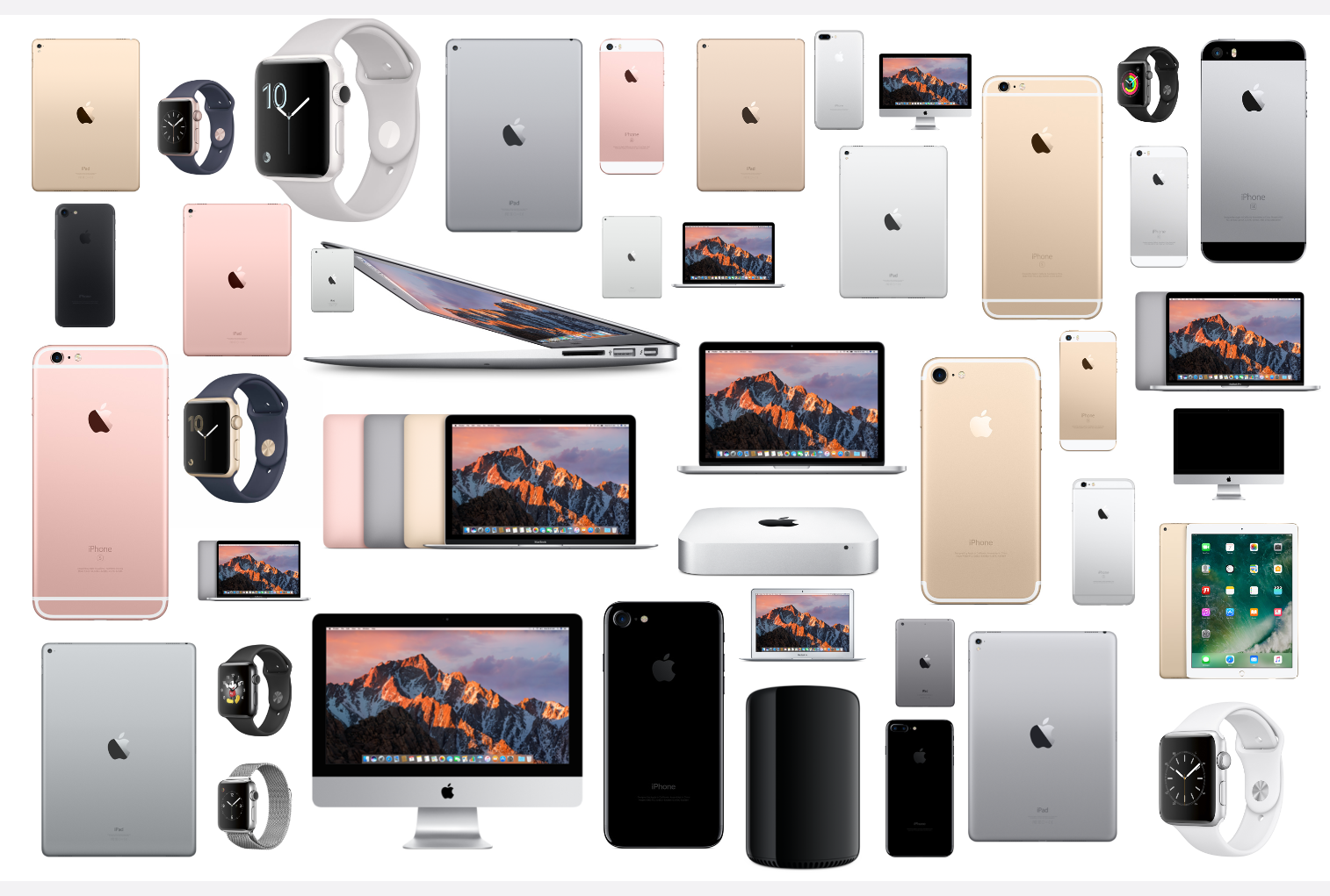 2016productcomparison.png