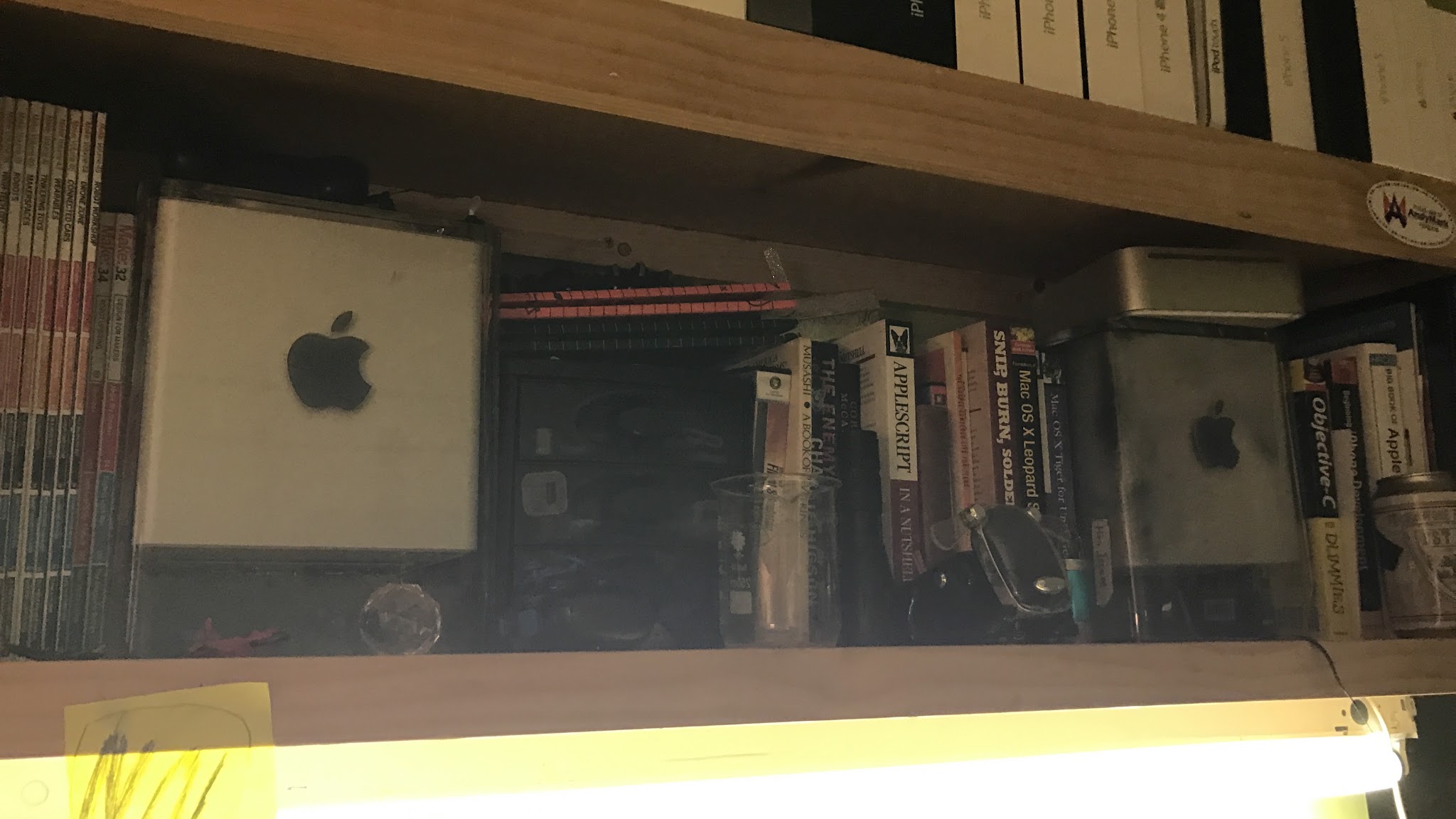 2017-03-03.jpg