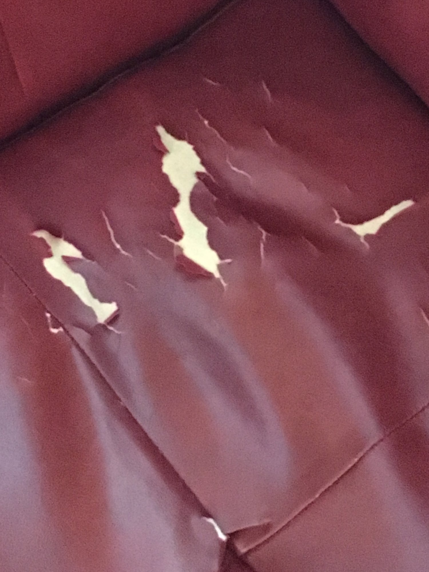 20171204_143927331_iOS.jpg