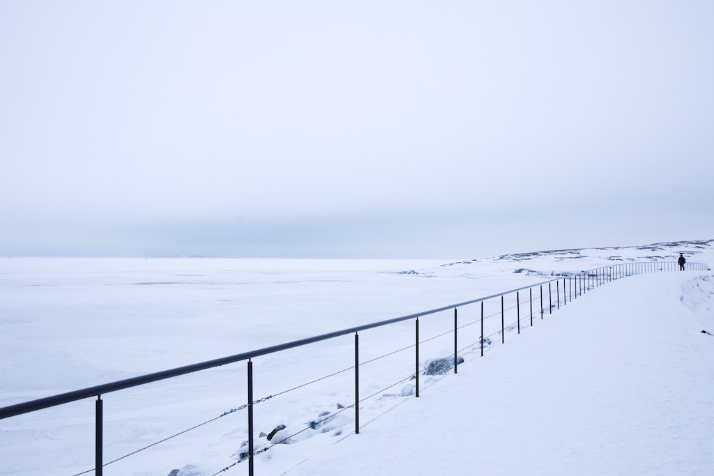 2019-02-02 | 5d4_7146.jpg