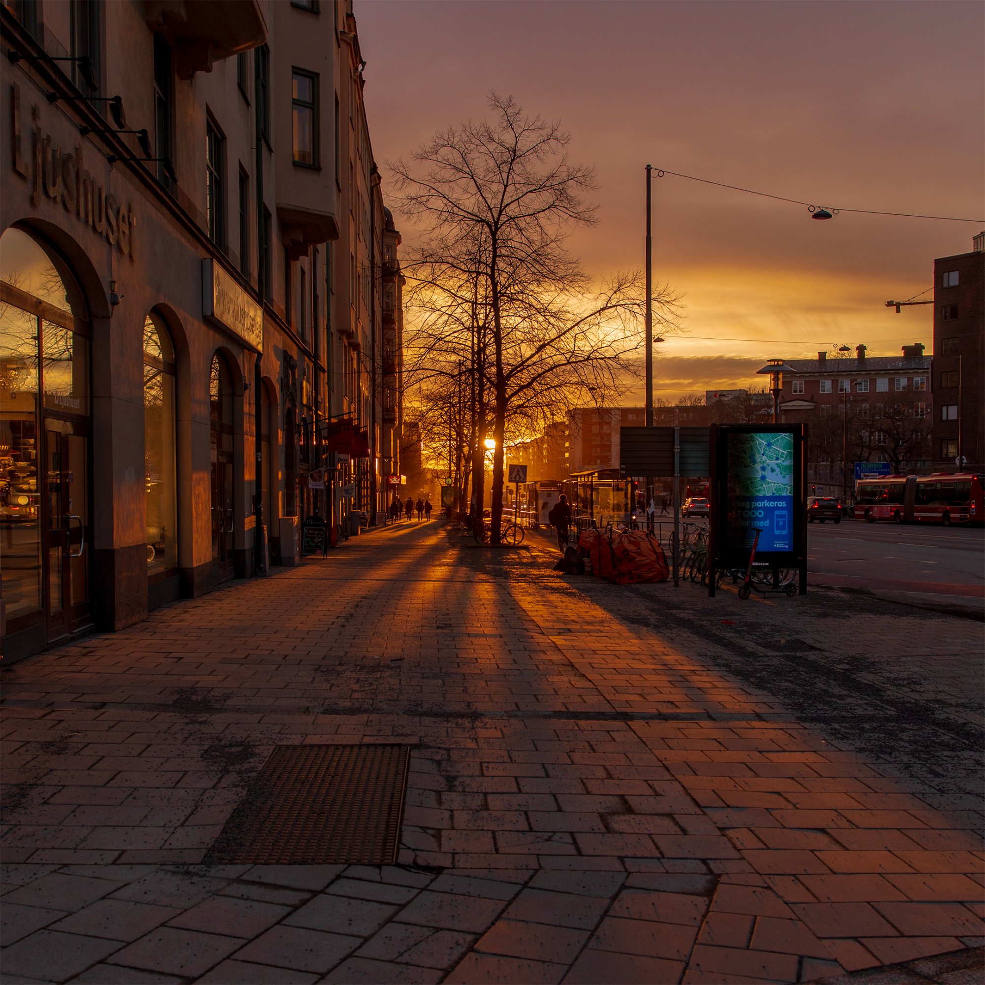 20190322_174759-1.jpg