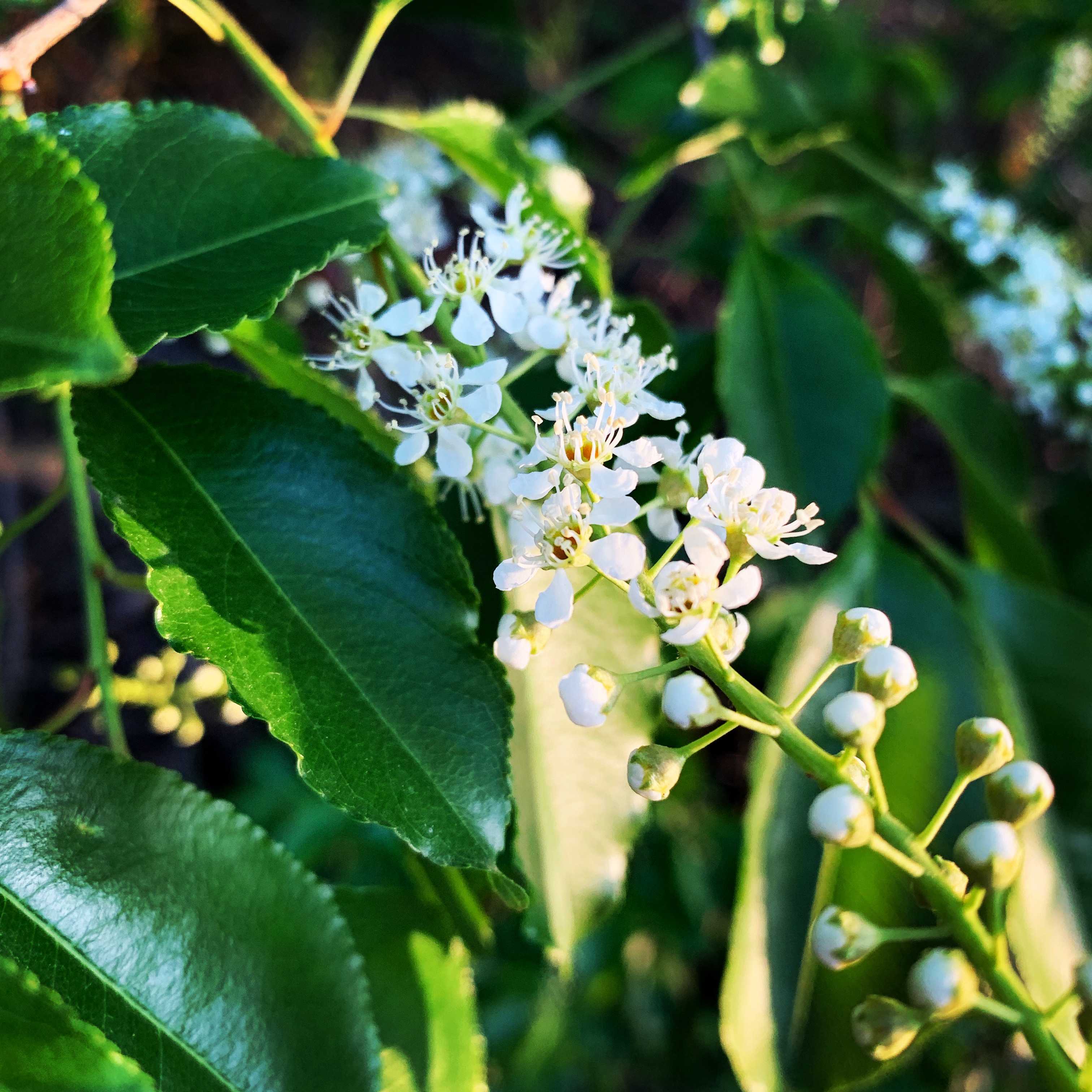 20190501_165844784_iOS.jpg