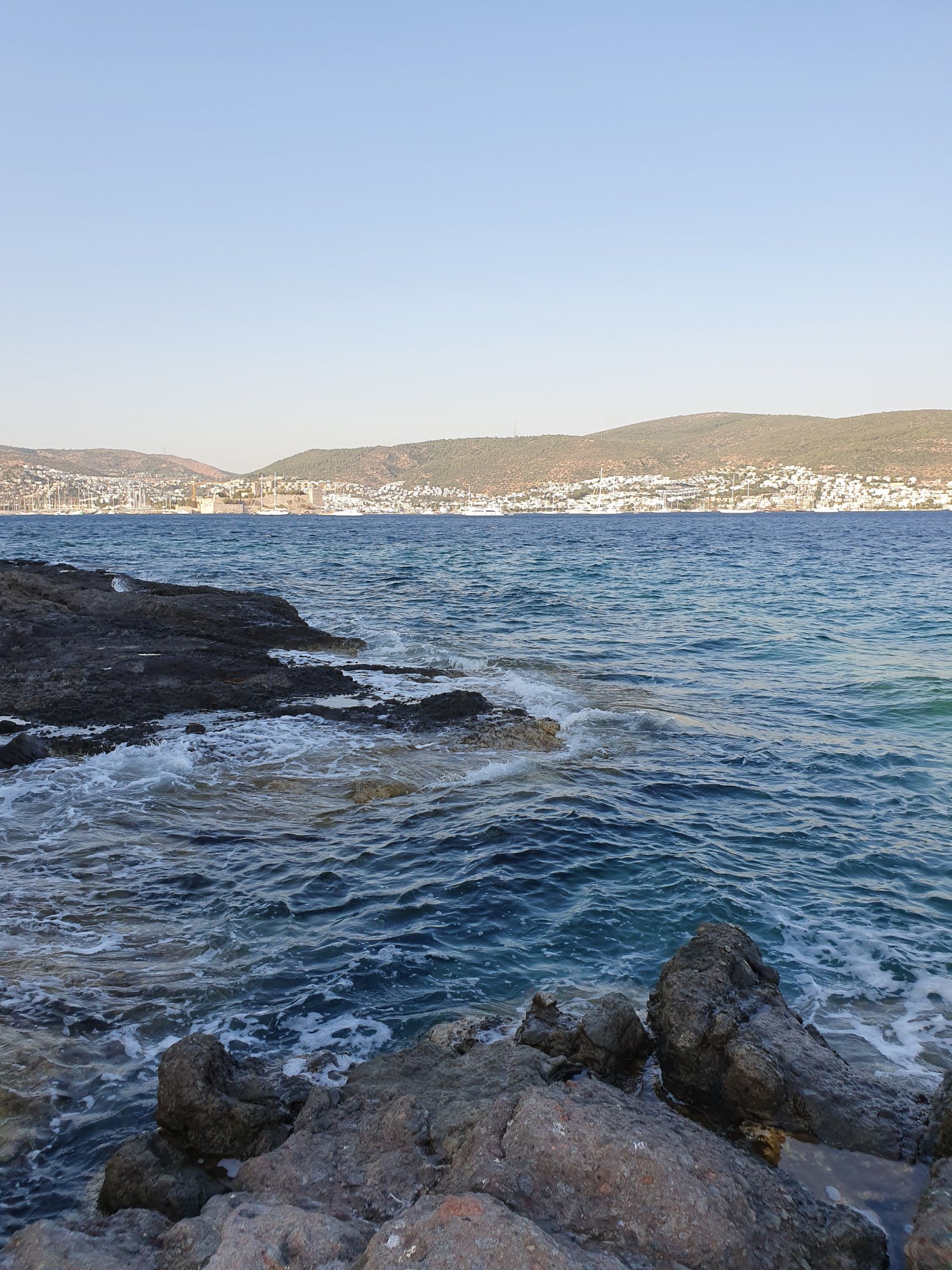 20190823_181516.jpg