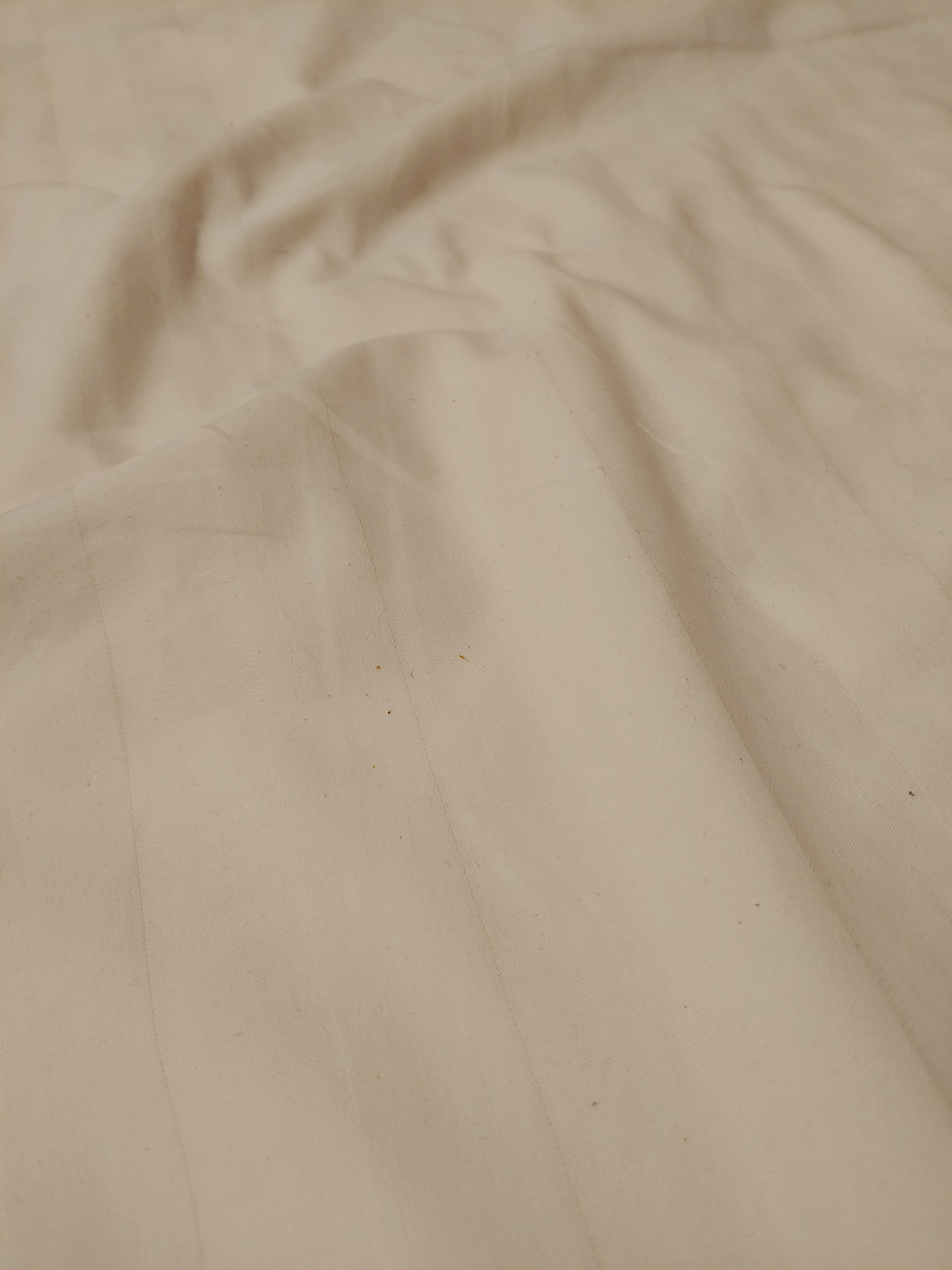 20190923_195338.jpg