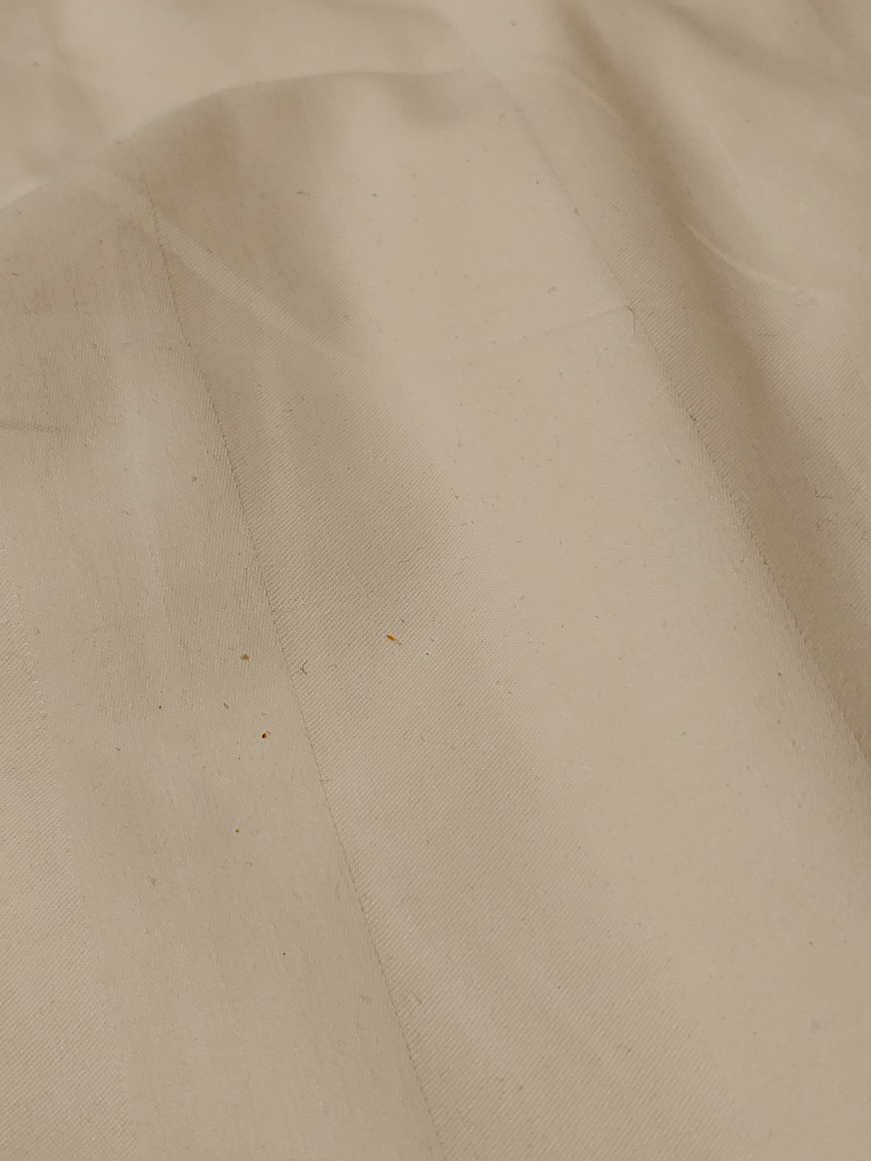 20190923_195341.jpg