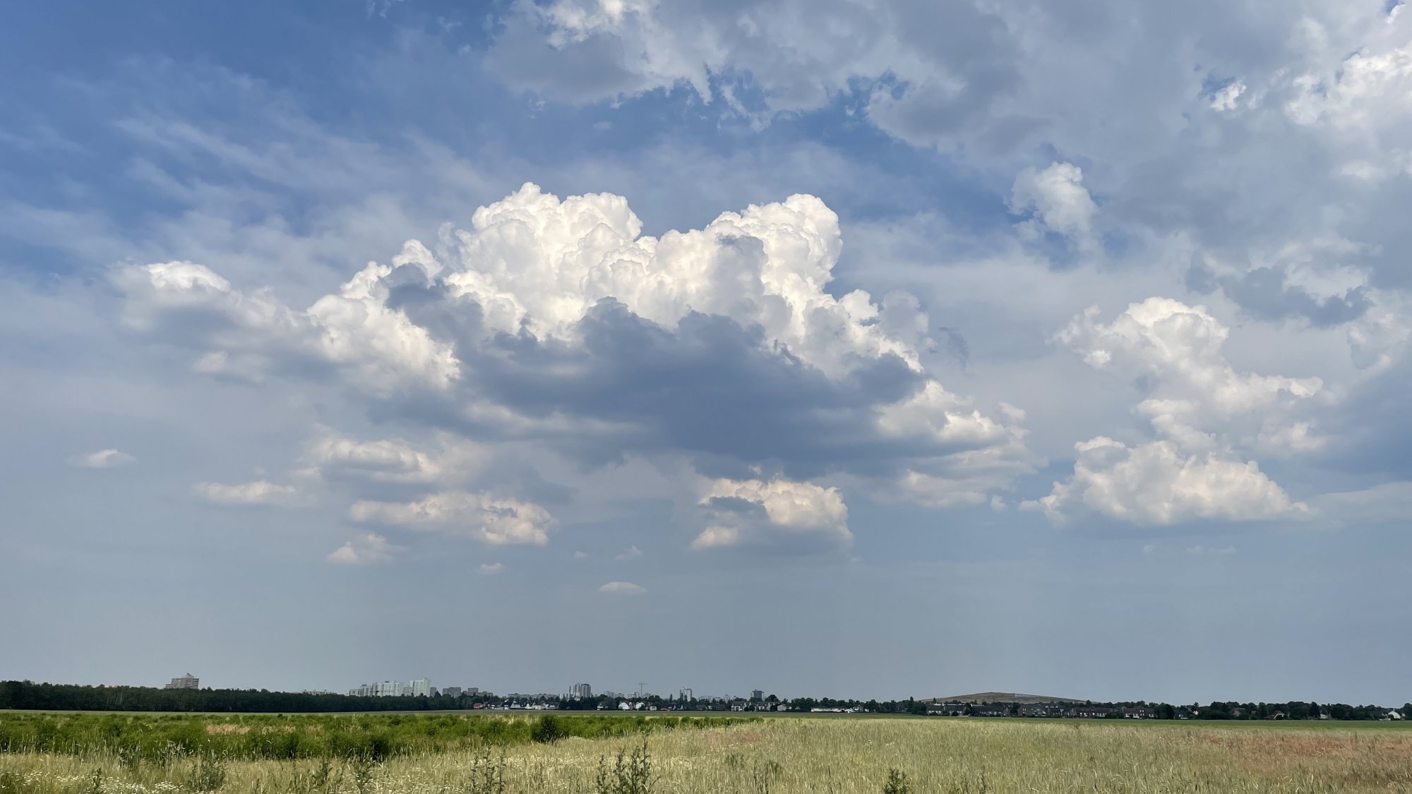 2021-06-19_15-50-32.jpg