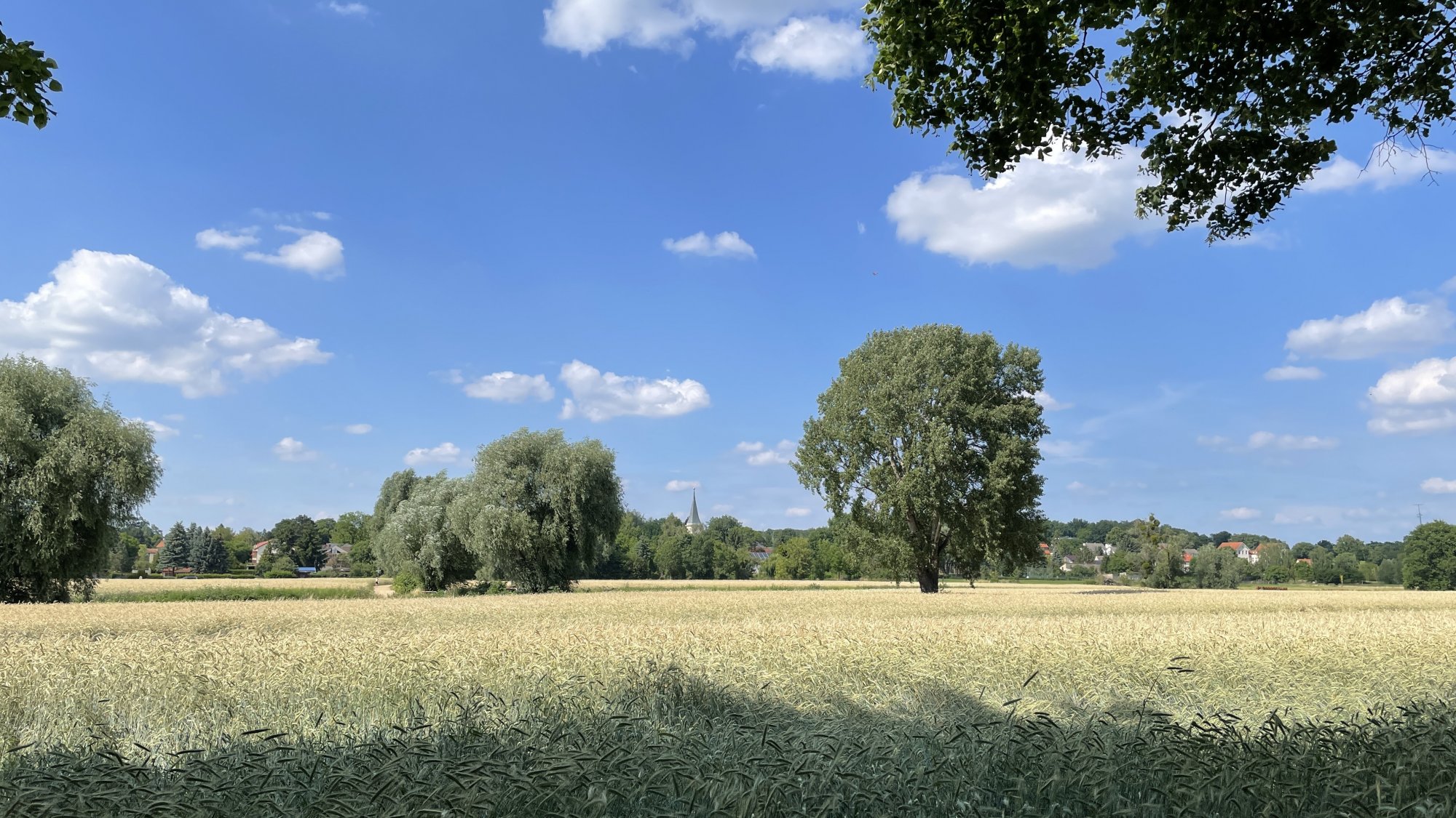 2021-07-03_16-15-52.jpg