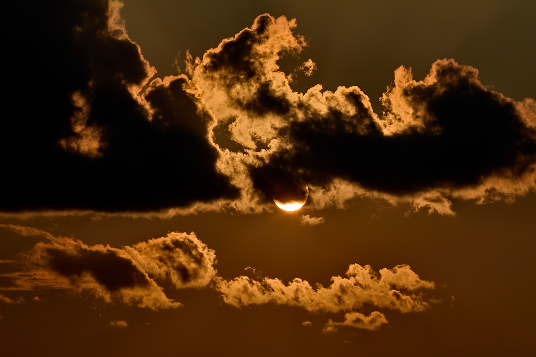 2021-07-21 ~ 5D4_5309.jpg