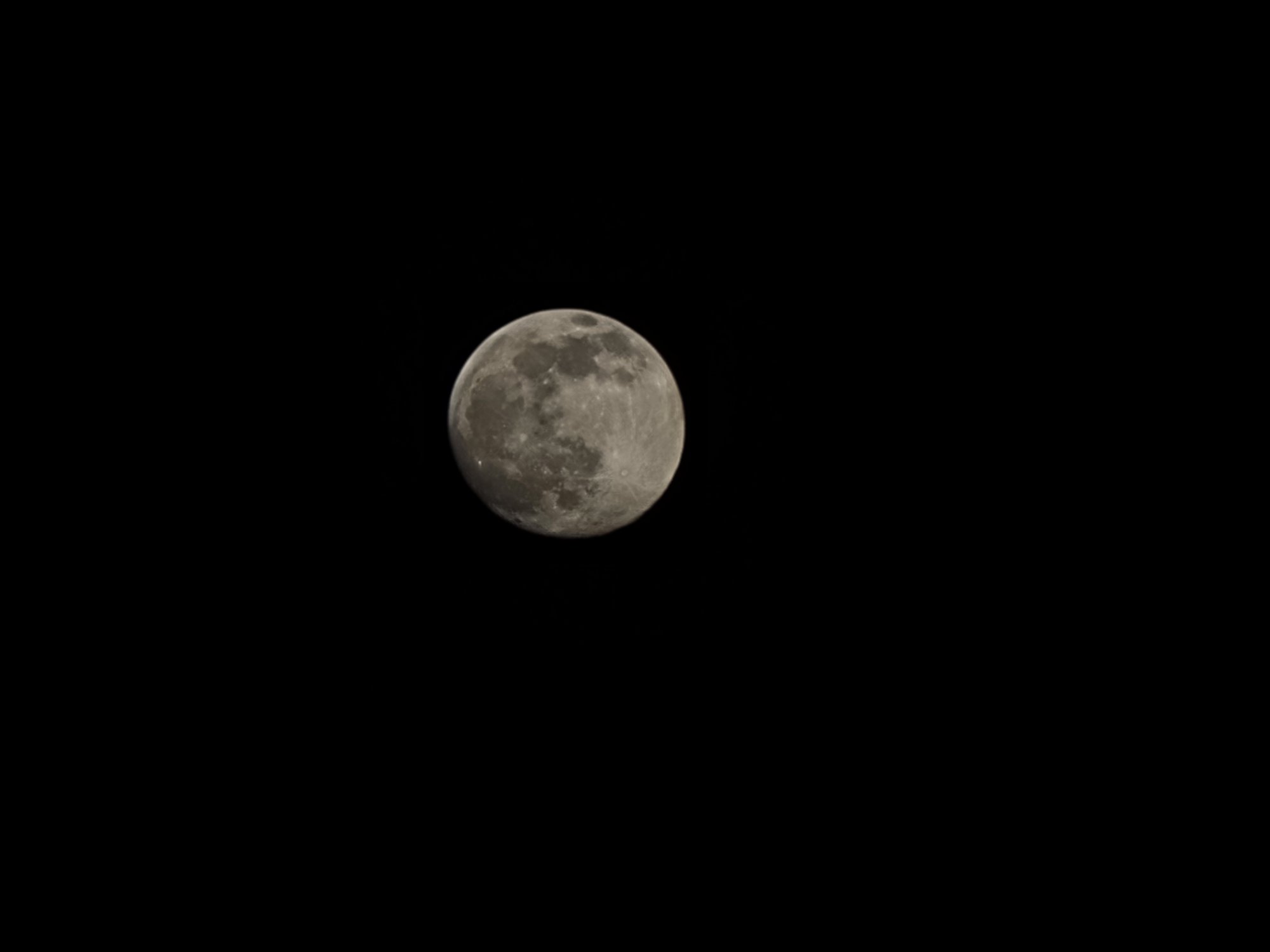 20210225_181527.jpg