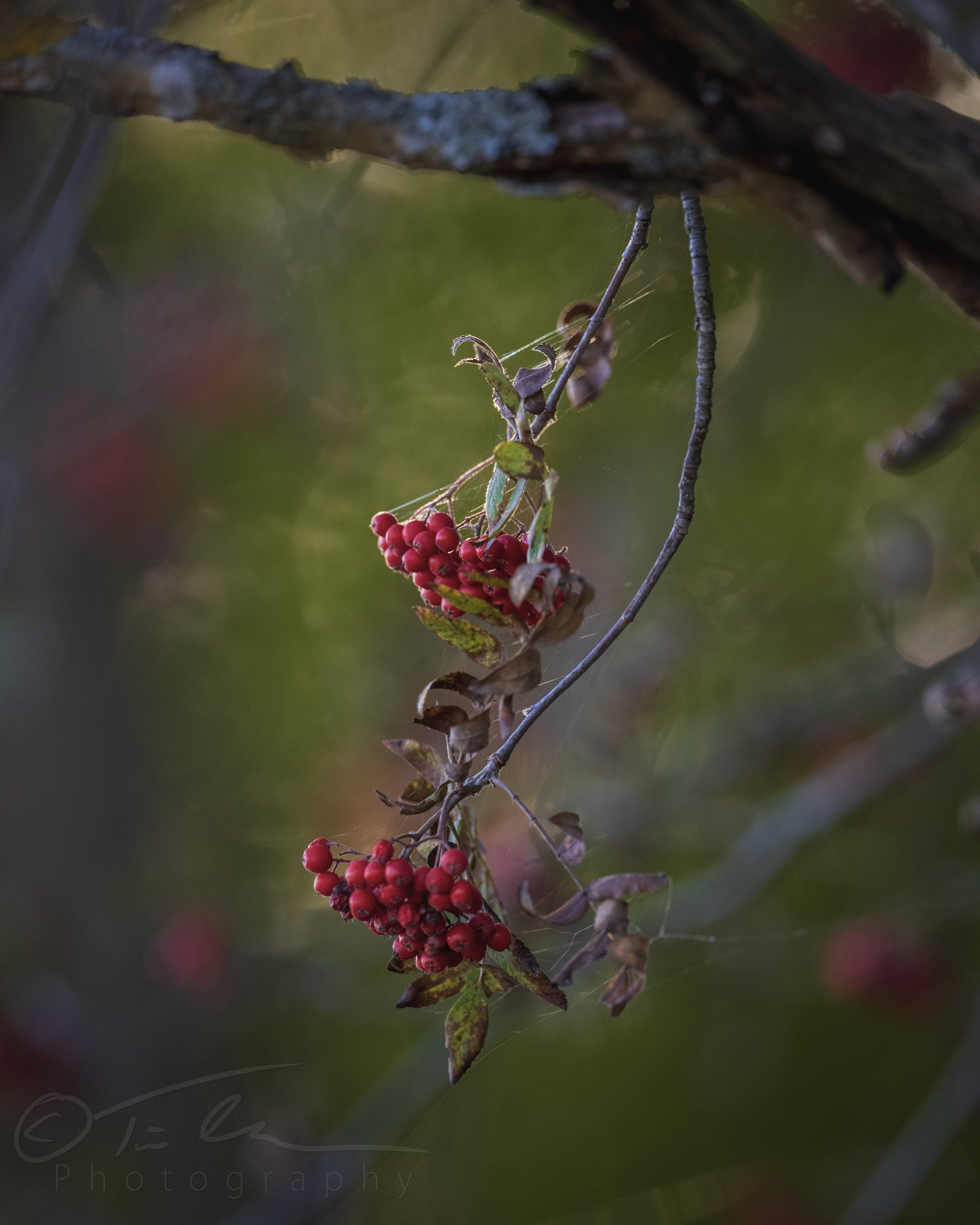20210926_1656145575-1.jpg