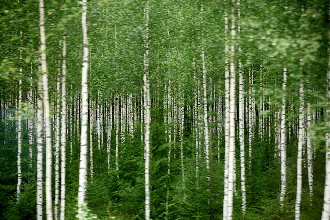 2023-08-06 ~ _R5_5781.jpg