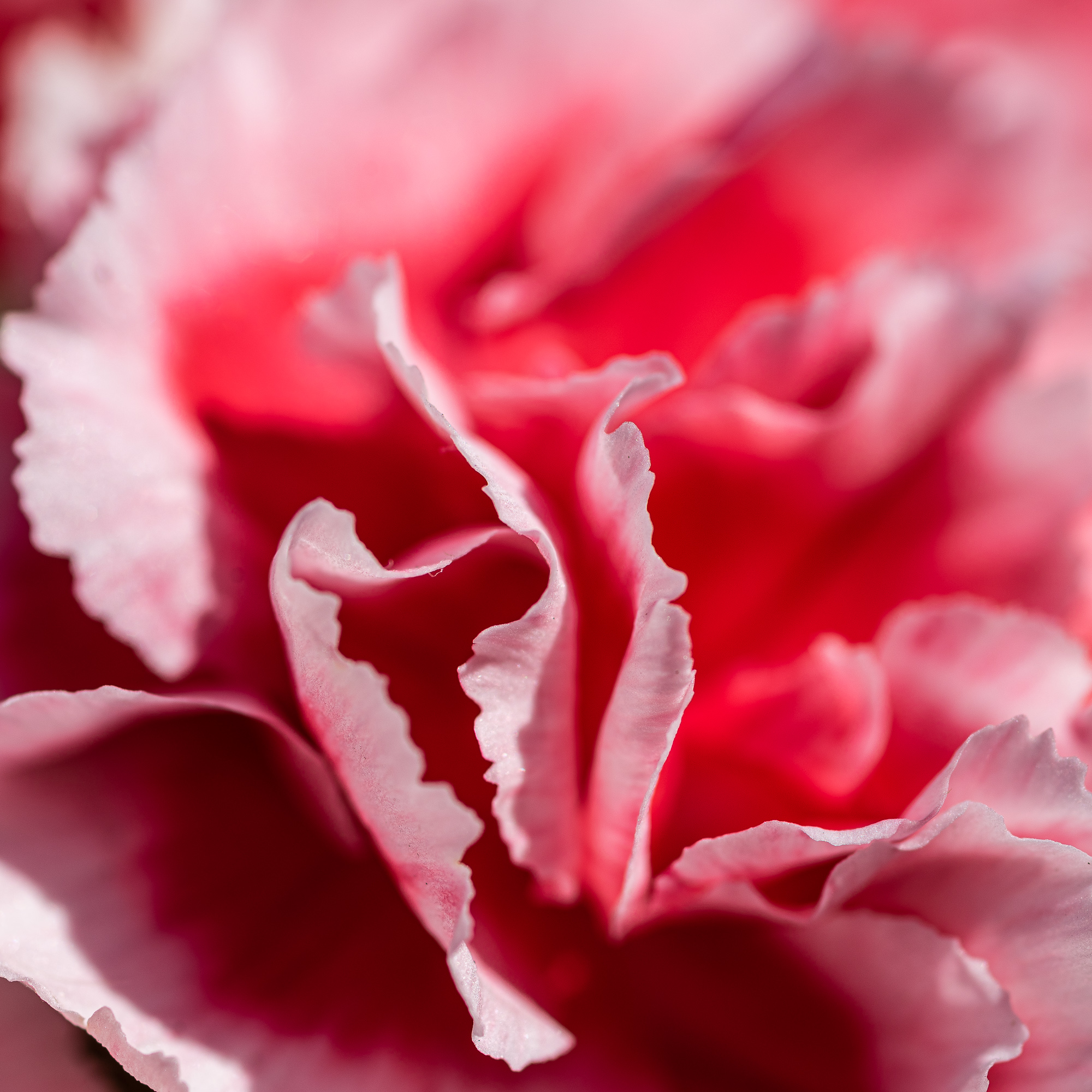 20230220-_DSC5343.jpg