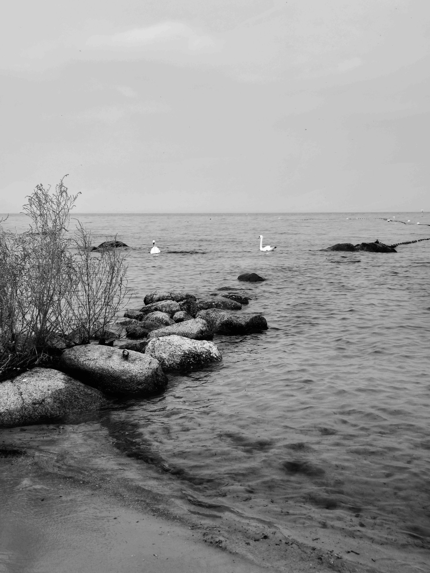 20230825_150708_Original 2.jpg