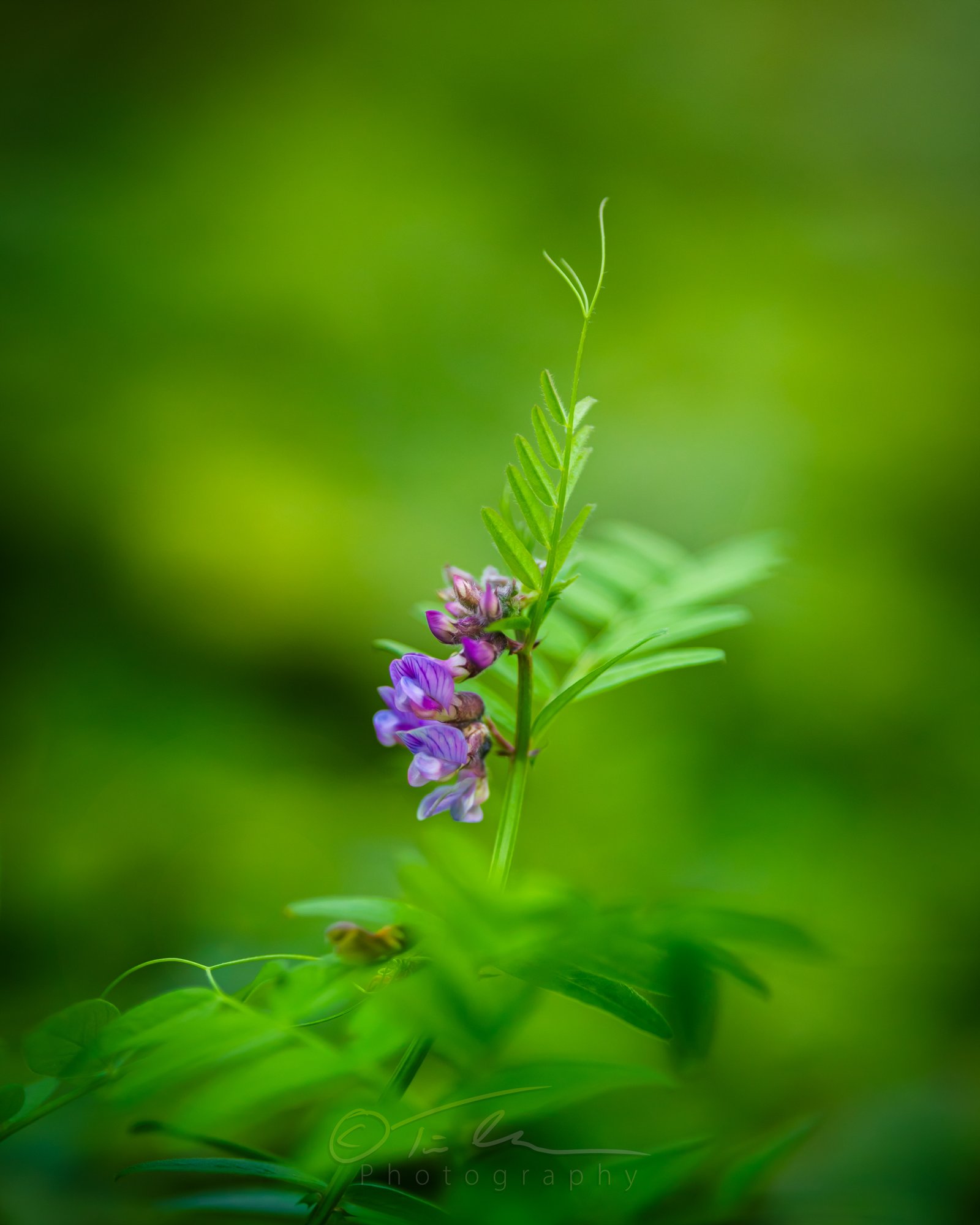 2023_08_16_20_24_36_EOS-R6m22503-1.jpeg