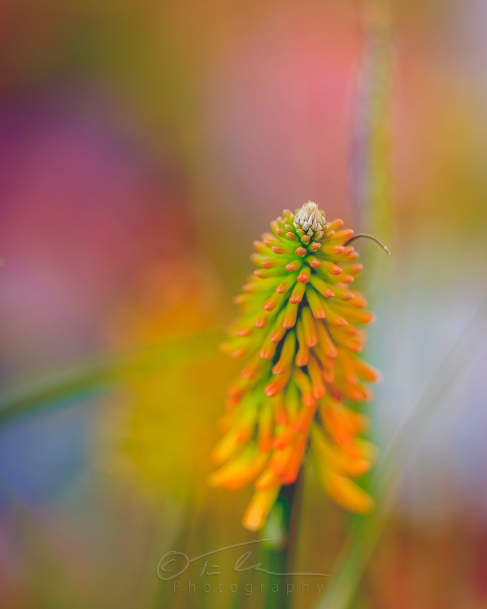 2023_08_18_13_57_16_EOS-R6m22689-1.jpg