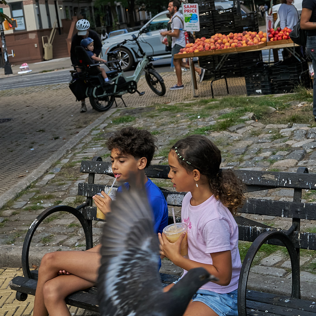 2025-09-03 ~ A7C04085.jpg
