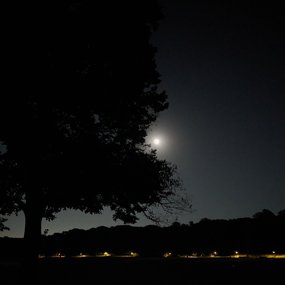 2025-10-05 ~ A7C04873.jpg