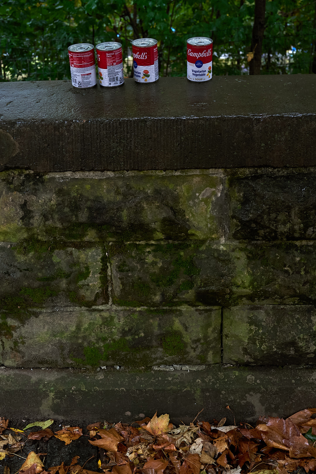 2025-10-11 ~ A7C05852.jpg