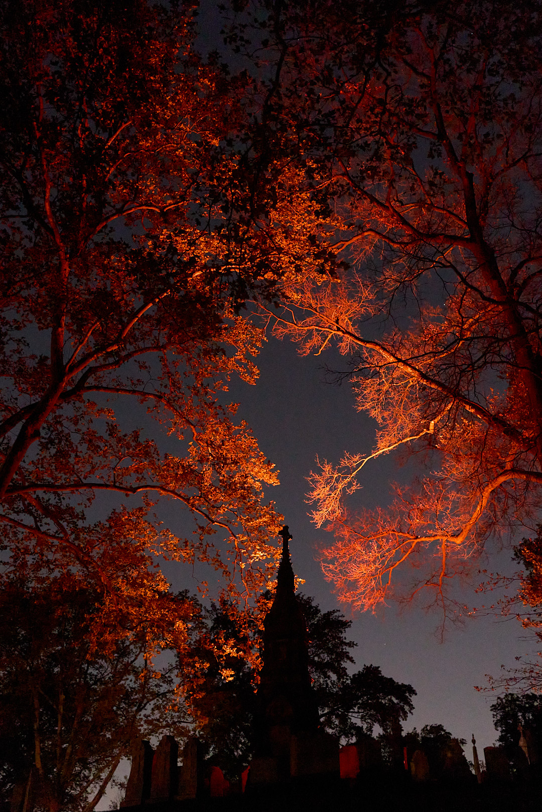 2025-10-16 ~ R52_4631.jpg