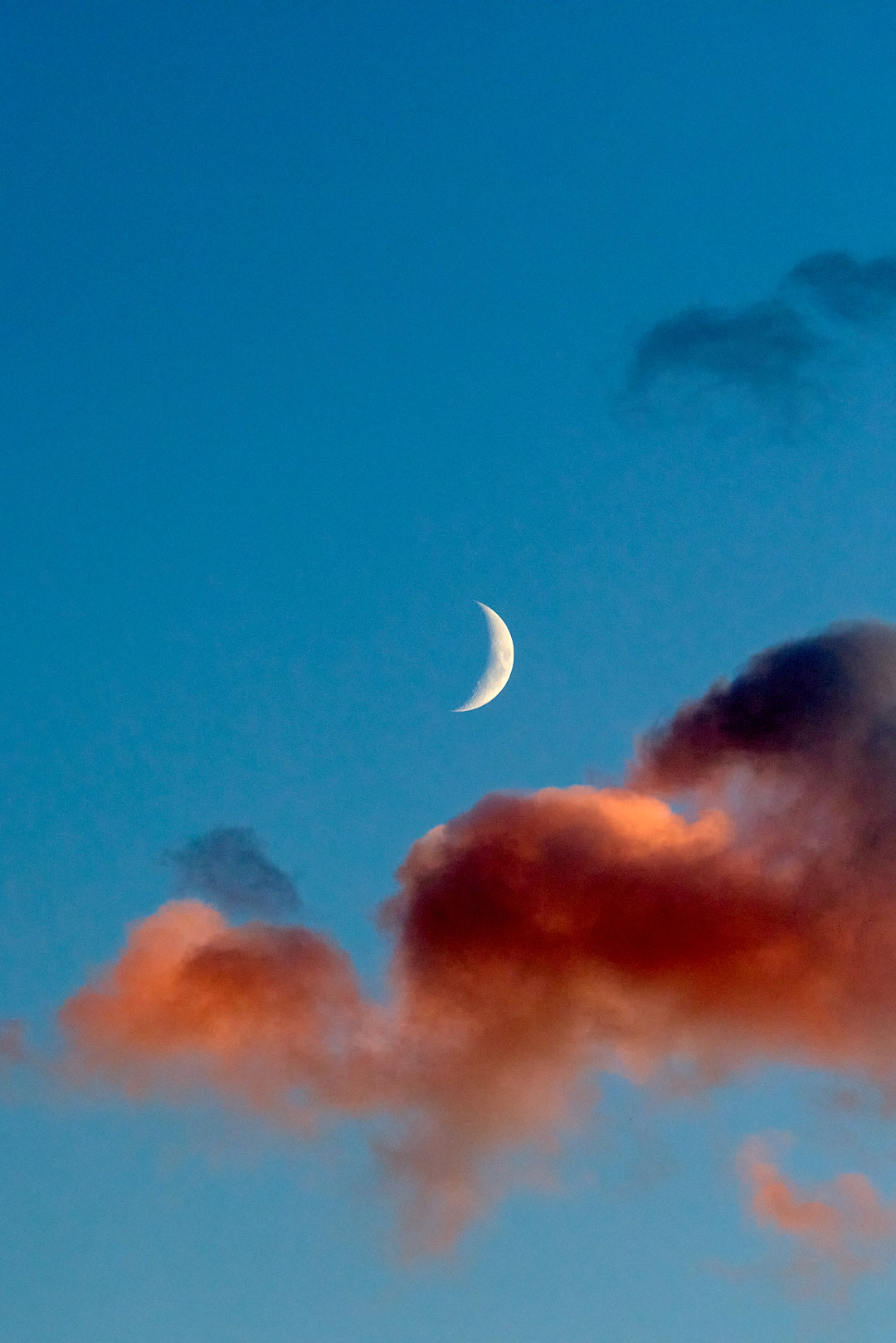 2025-10-26 ~ R52_7097.jpg