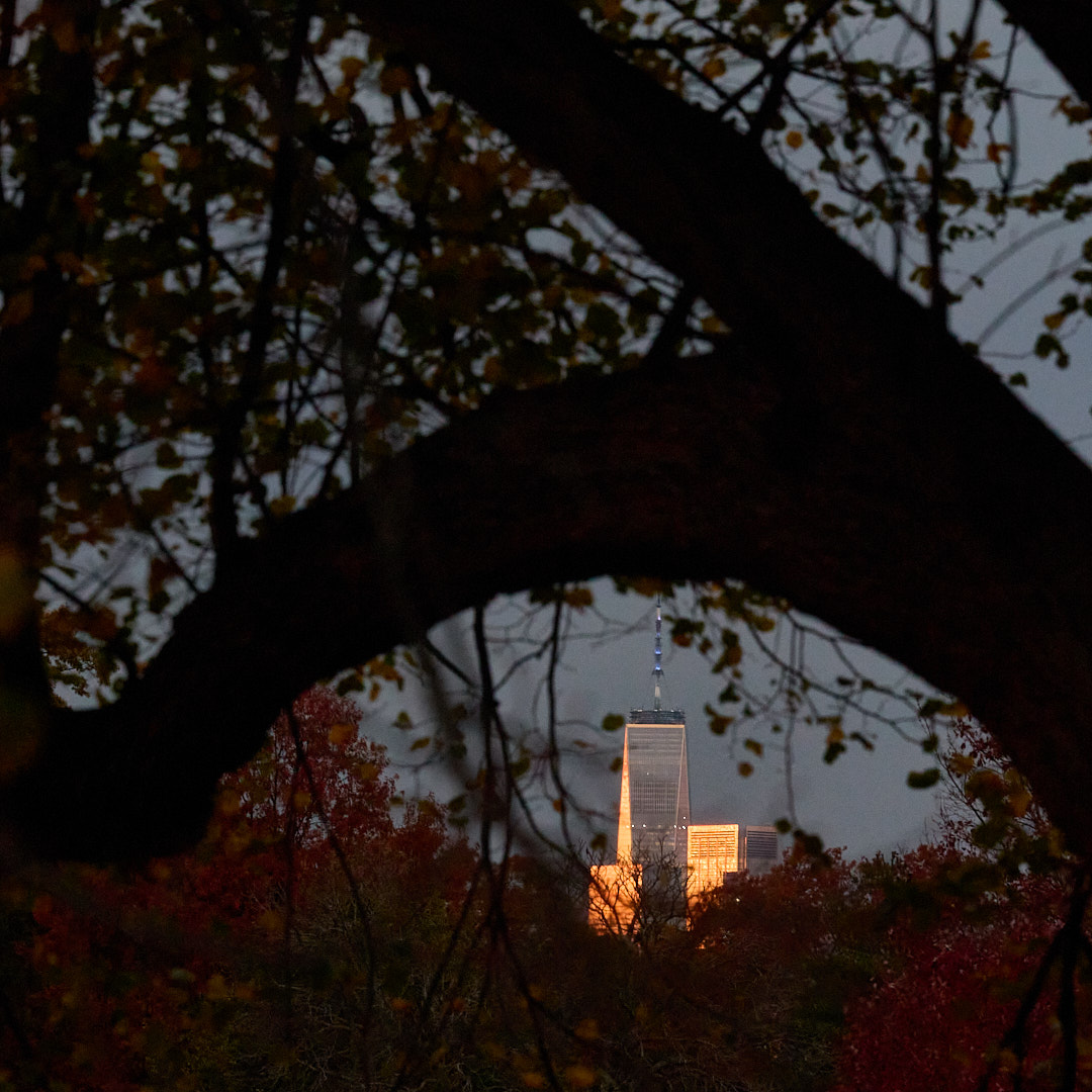 2025-11-03 ~ R52_8930.jpg