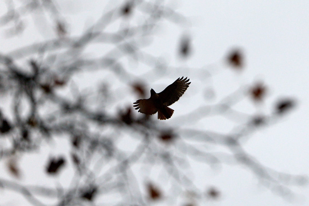 2025-11-15 ~ R52_0147.jpg