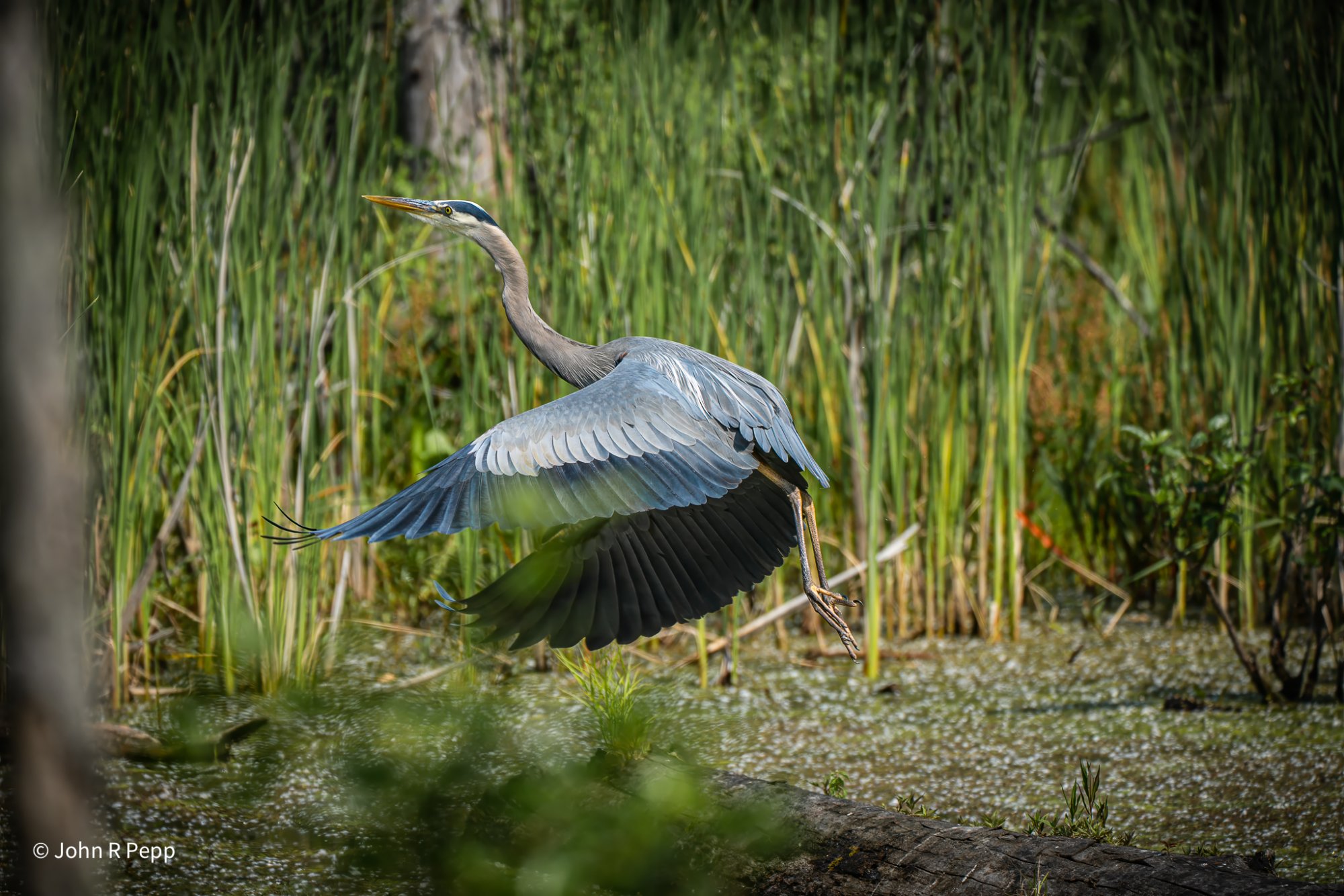 20250611-PEP00155-Edit-2.jpg