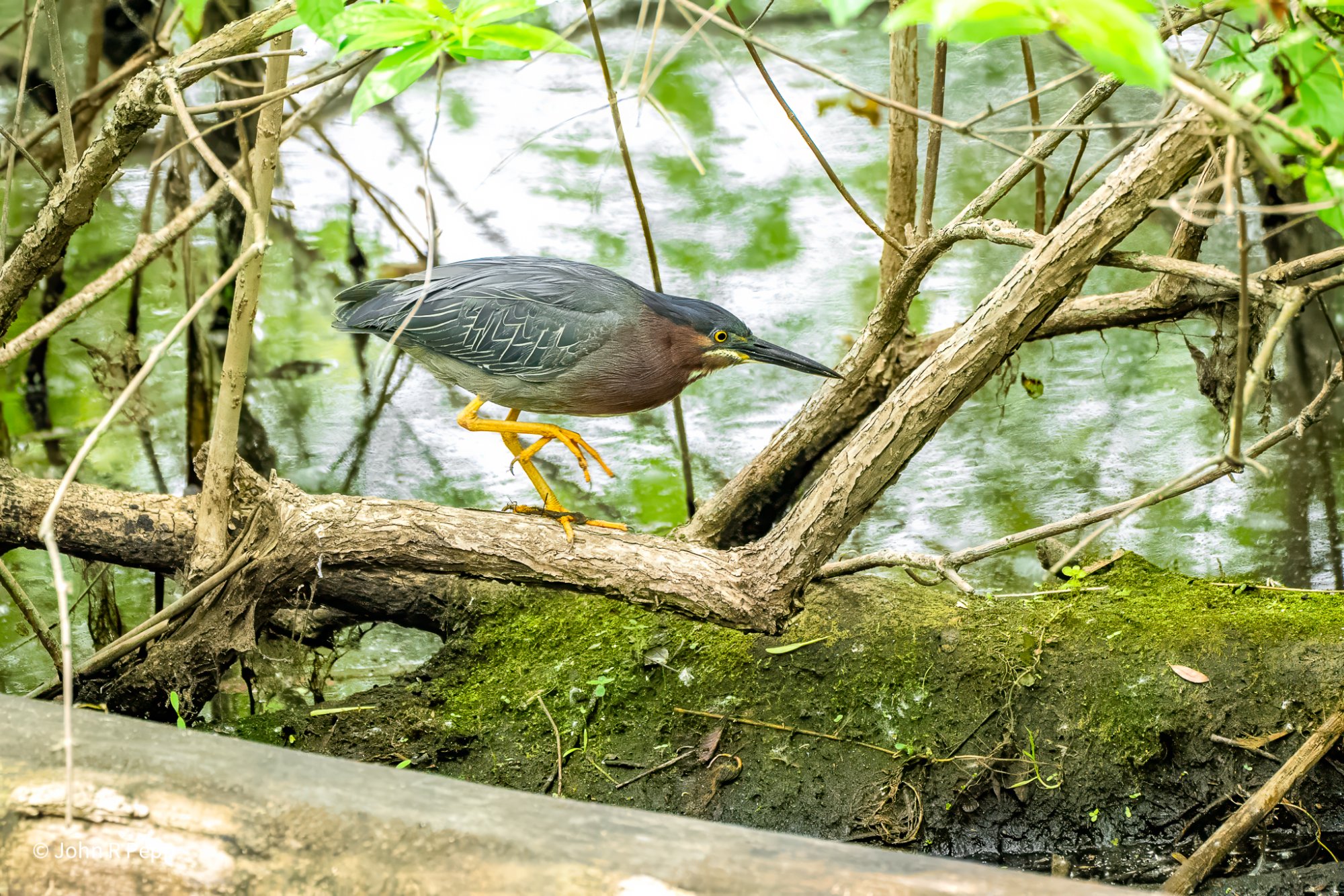 20250613-PEP03418-Edit-2.jpg