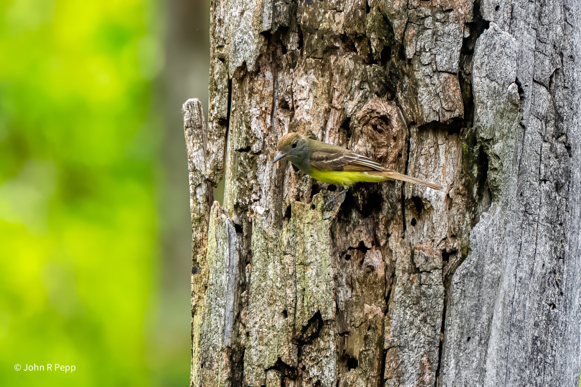 20250613-PEP04160-Edit-2.jpg