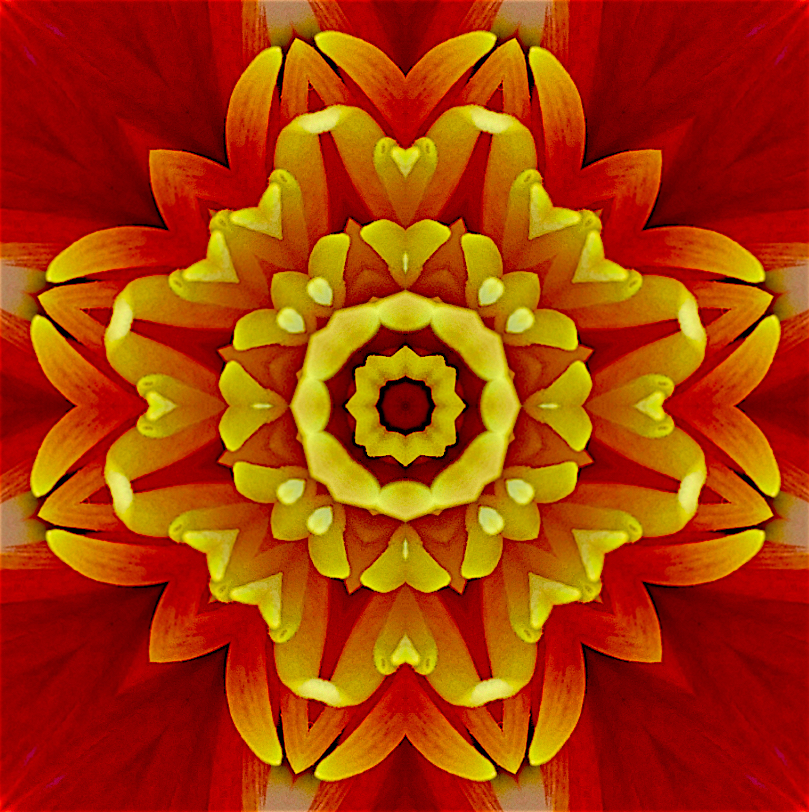 21P_160Mirrored4.jpg