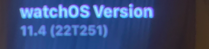 22T251.png