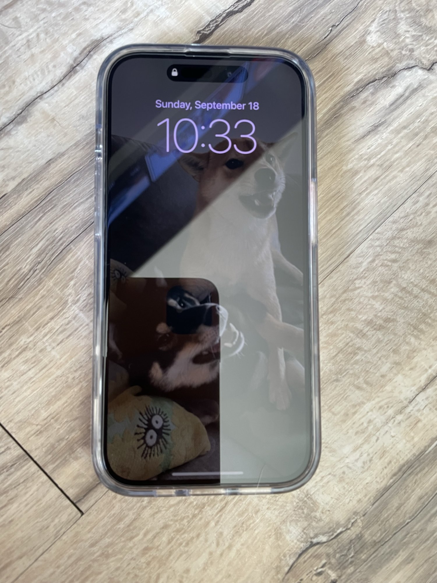 231B238D-E3CF-4DBB-A51D-EC461CC4C9A9.jpeg