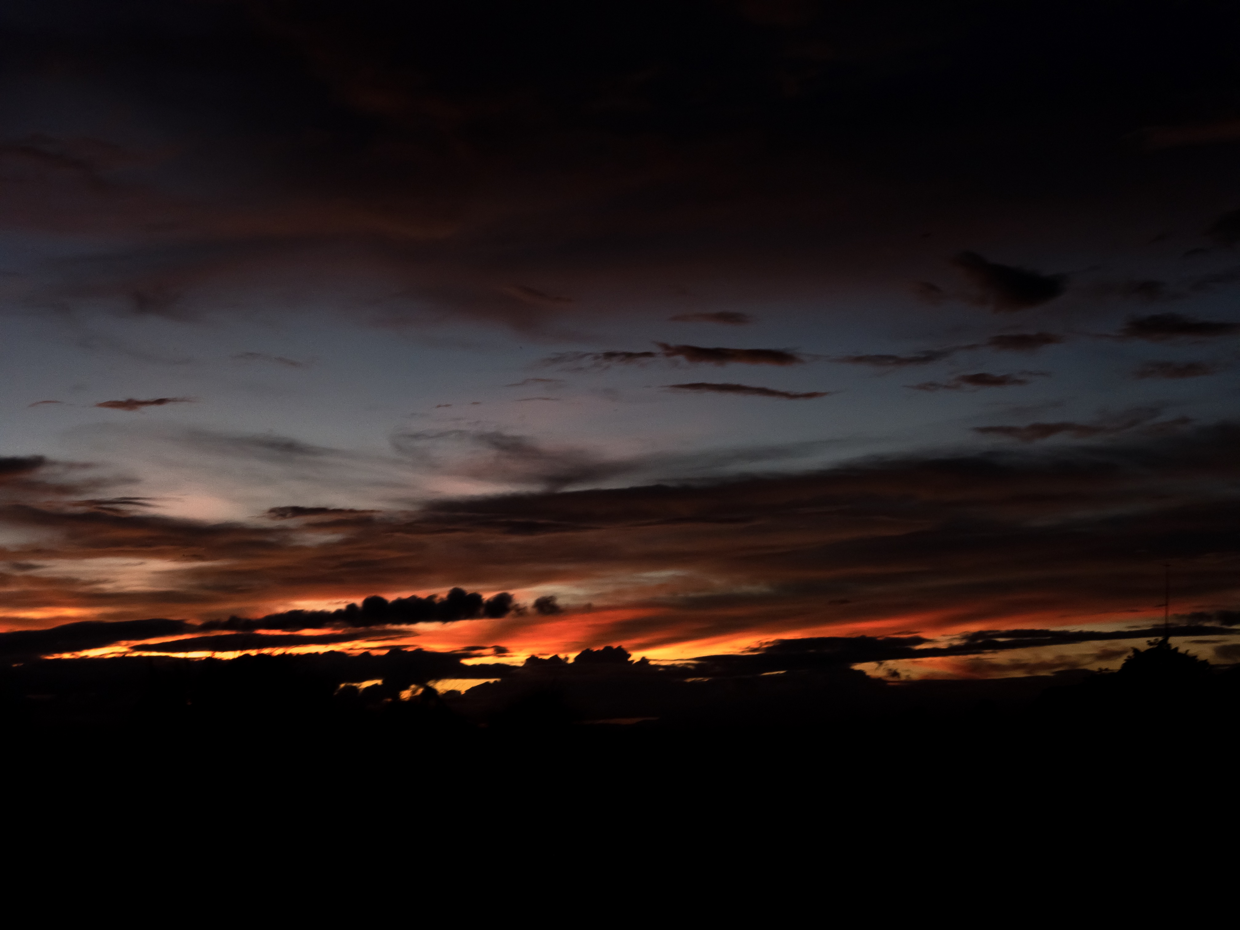 24425772-C2DE-4AAF-A429-F3802C43AC8C.jpeg