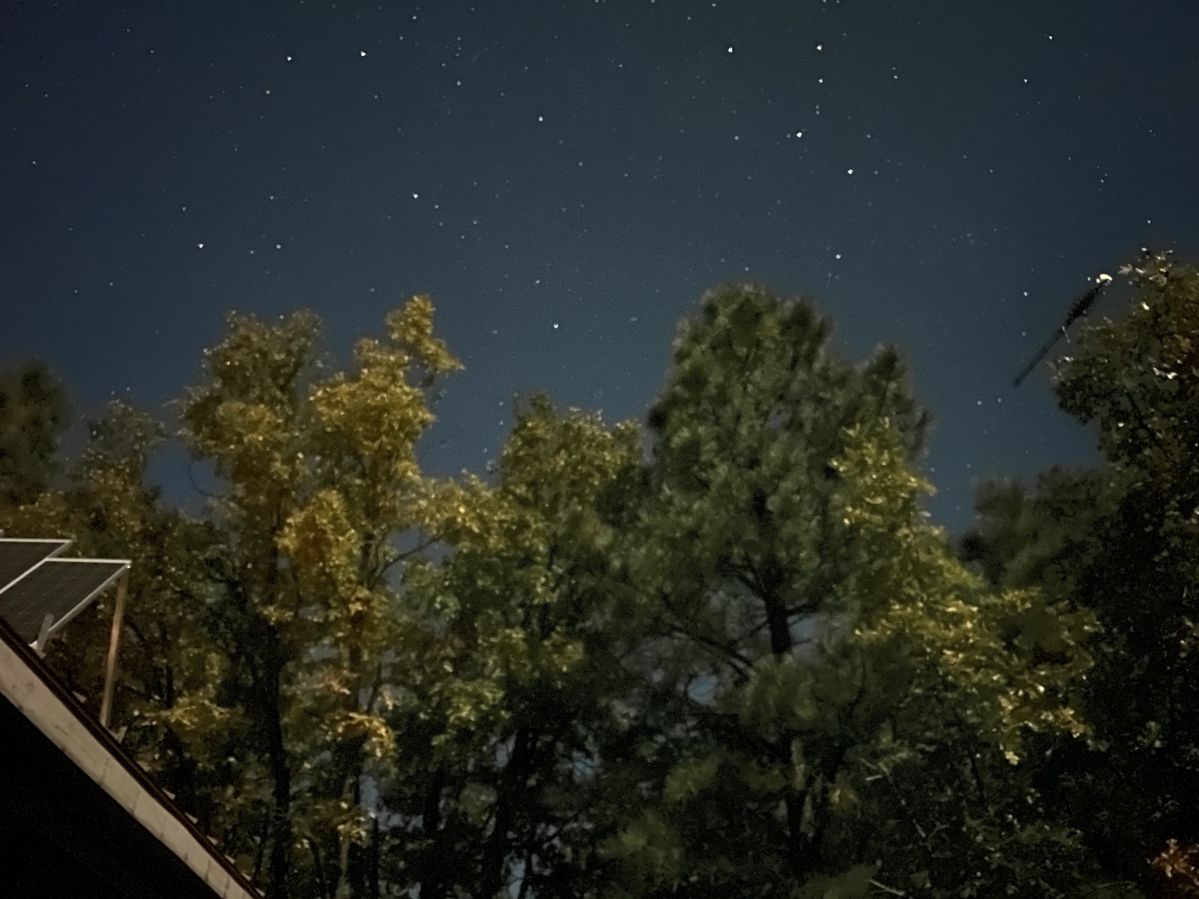 27080786-55C8-4E82-9A20-D40AF8EA81A6.jpeg