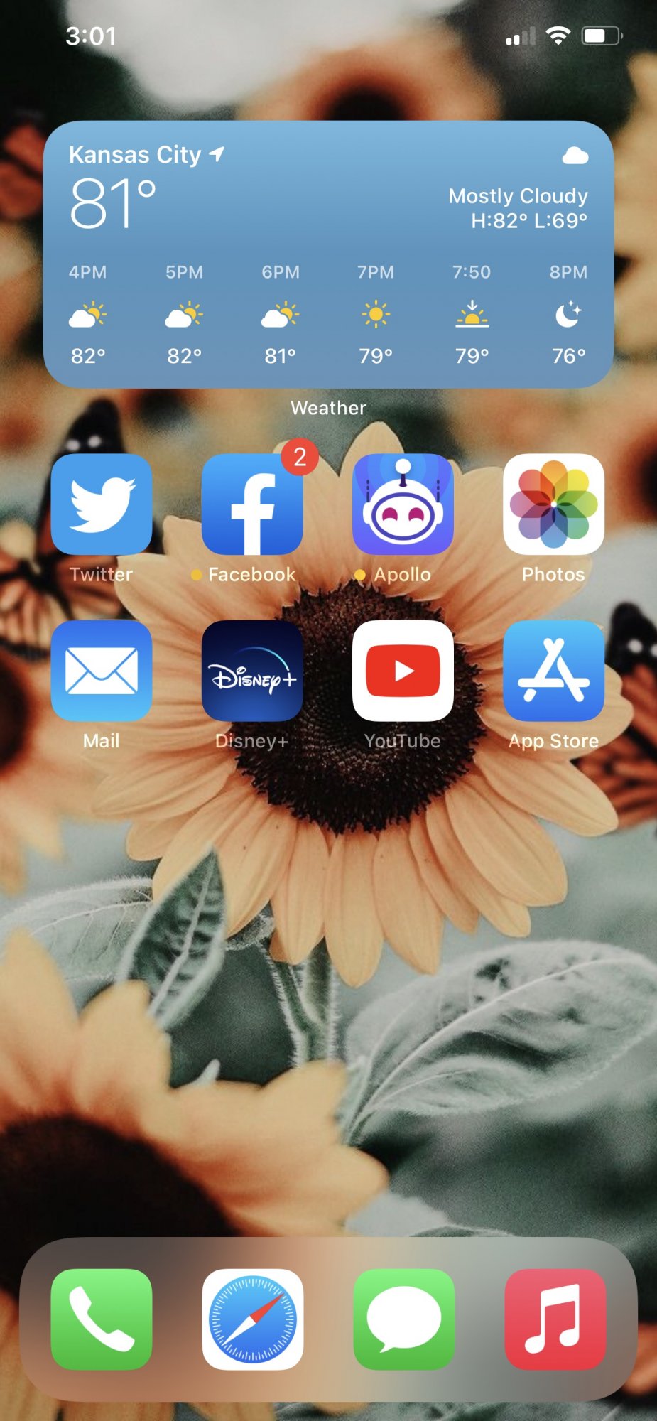 Post your iOS 14 home screen layout | Page 25 | MacRumors Forums