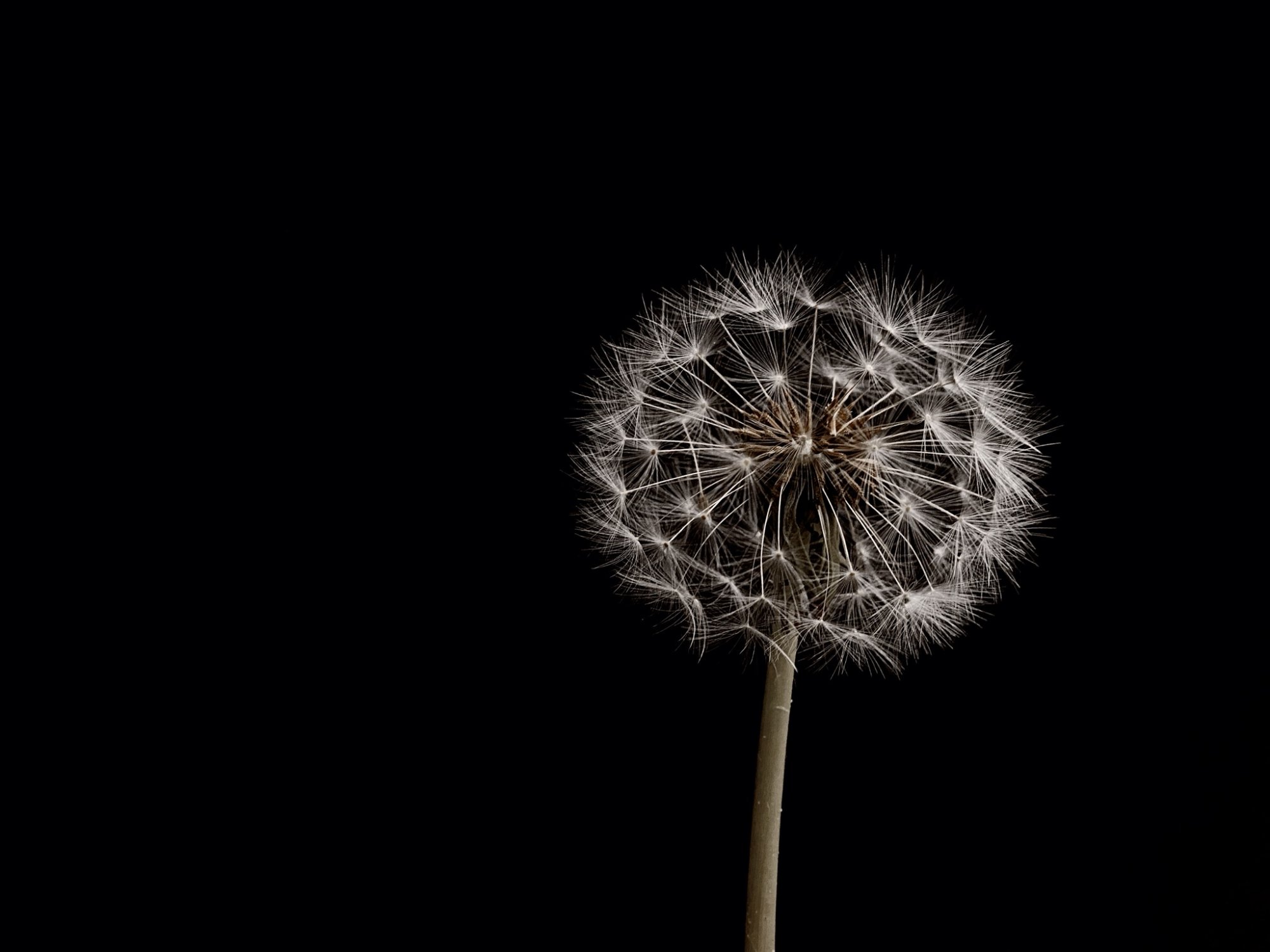 279447AB-56DF-4E04-911A-9F1A15161D8A.jpeg