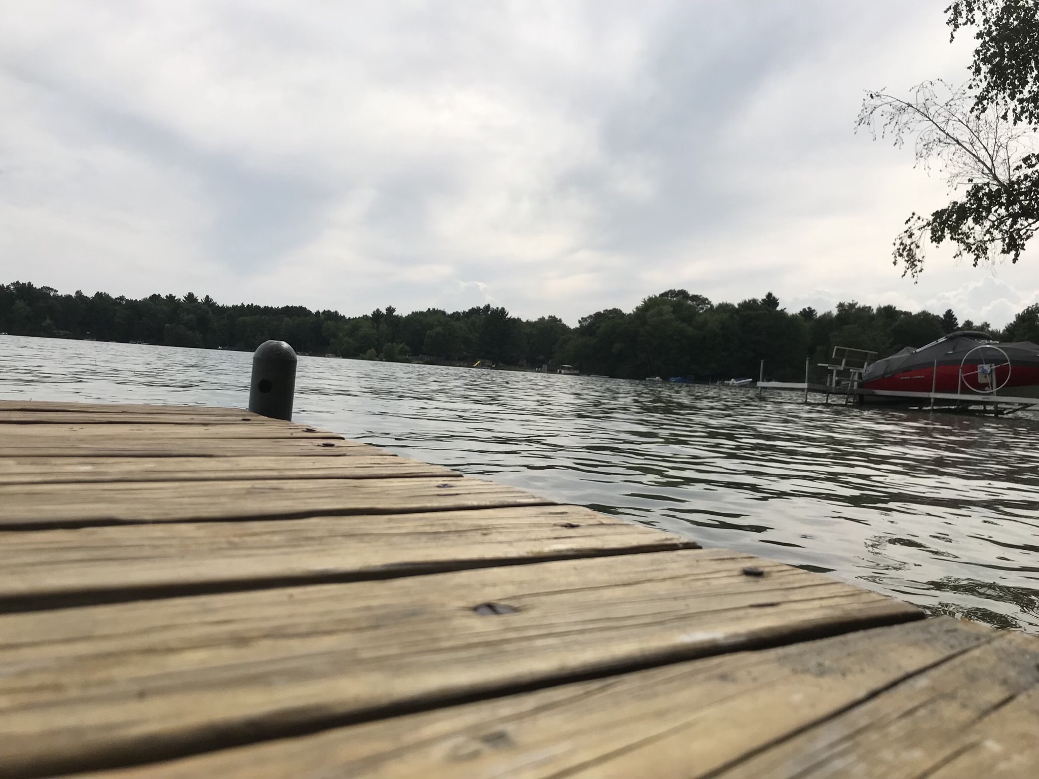 291ECB3D-98D1-4334-A85B-3E2F947F66D3.jpeg