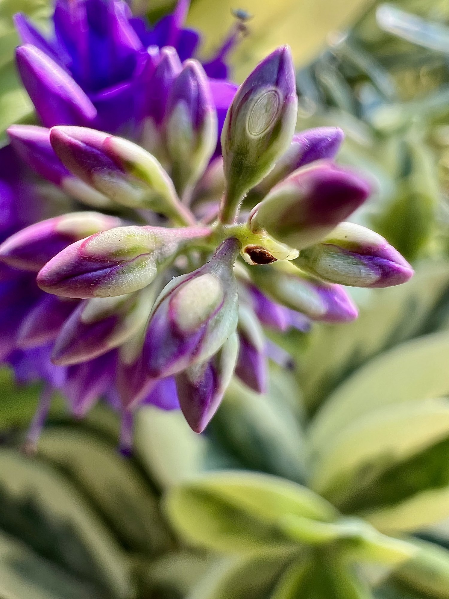 29D5FD05-B5FB-47EF-AD32-9F664D84FB6B.jpeg