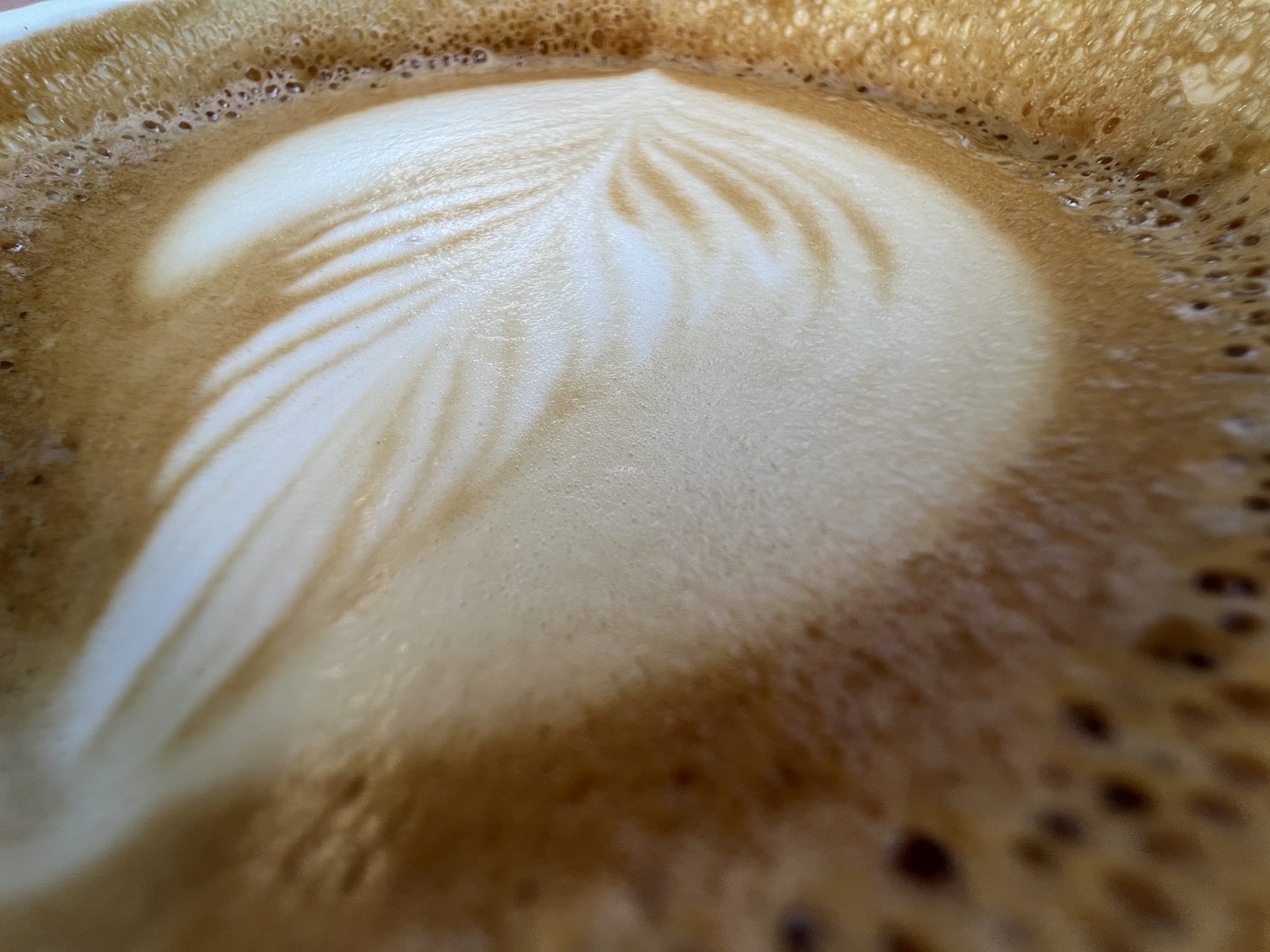 2BC040CF-41F6-4F8E-8133-41EF2FFA7169.jpeg