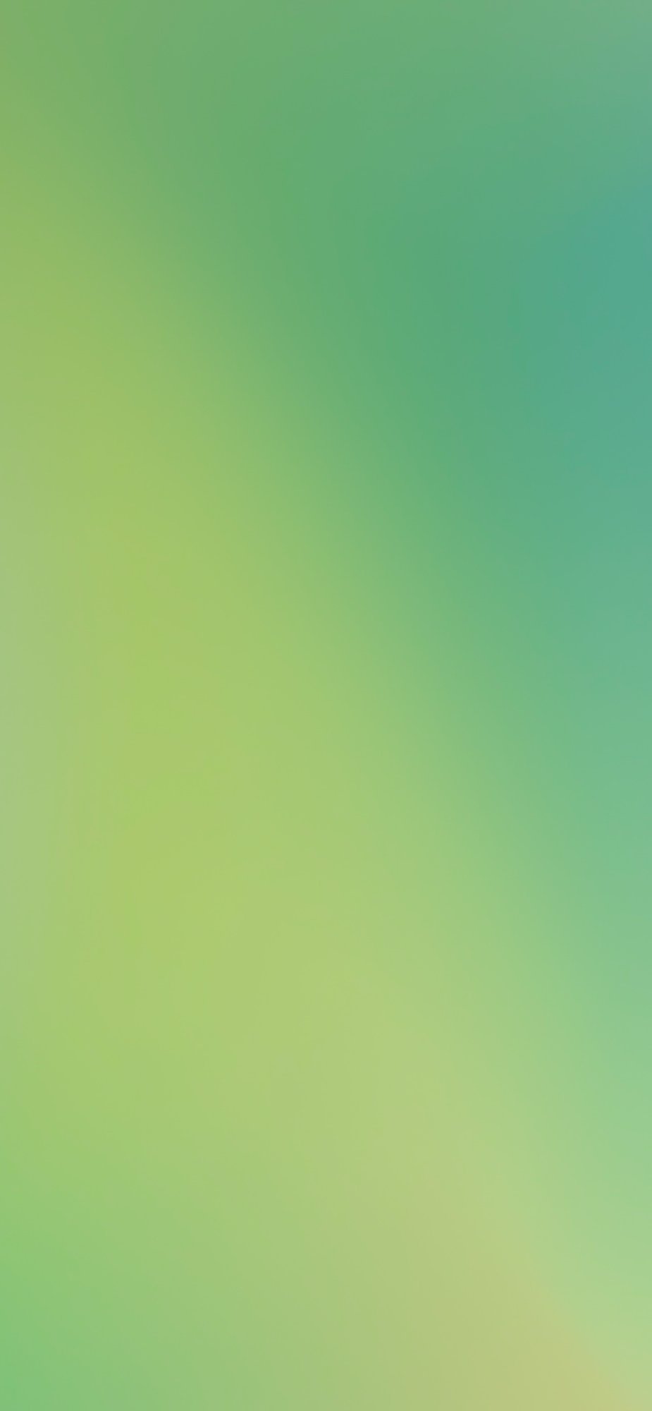 2BF42991-8C56-4CA6-AE41-C0B64C2373B1.jpeg