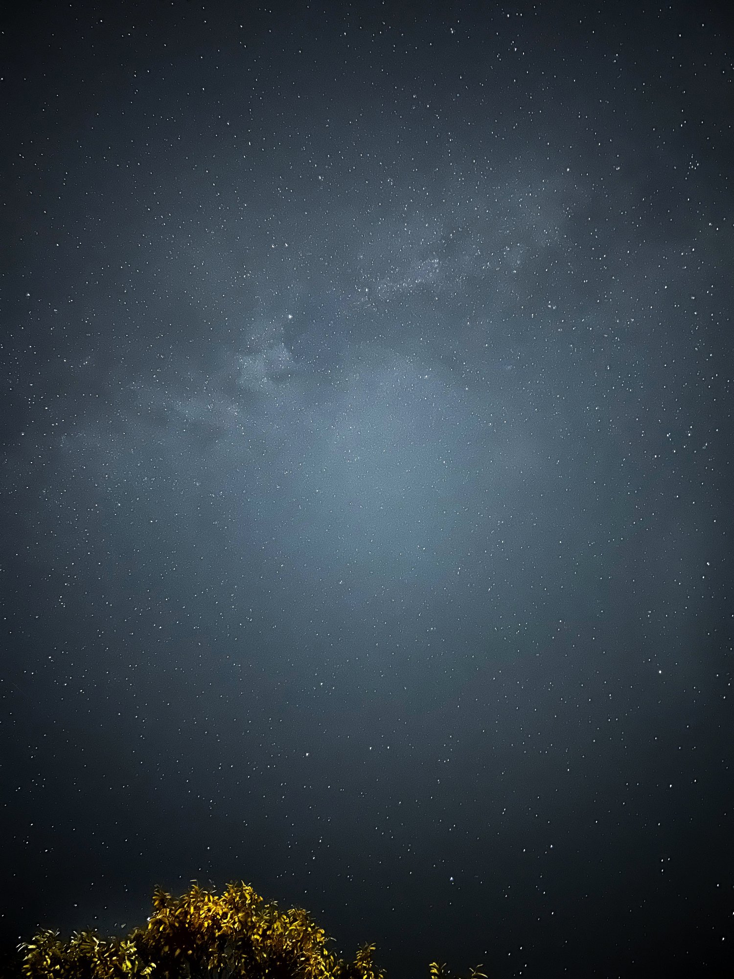 2C01F581-4005-4CB0-92EF-E151E095A68C.jpeg