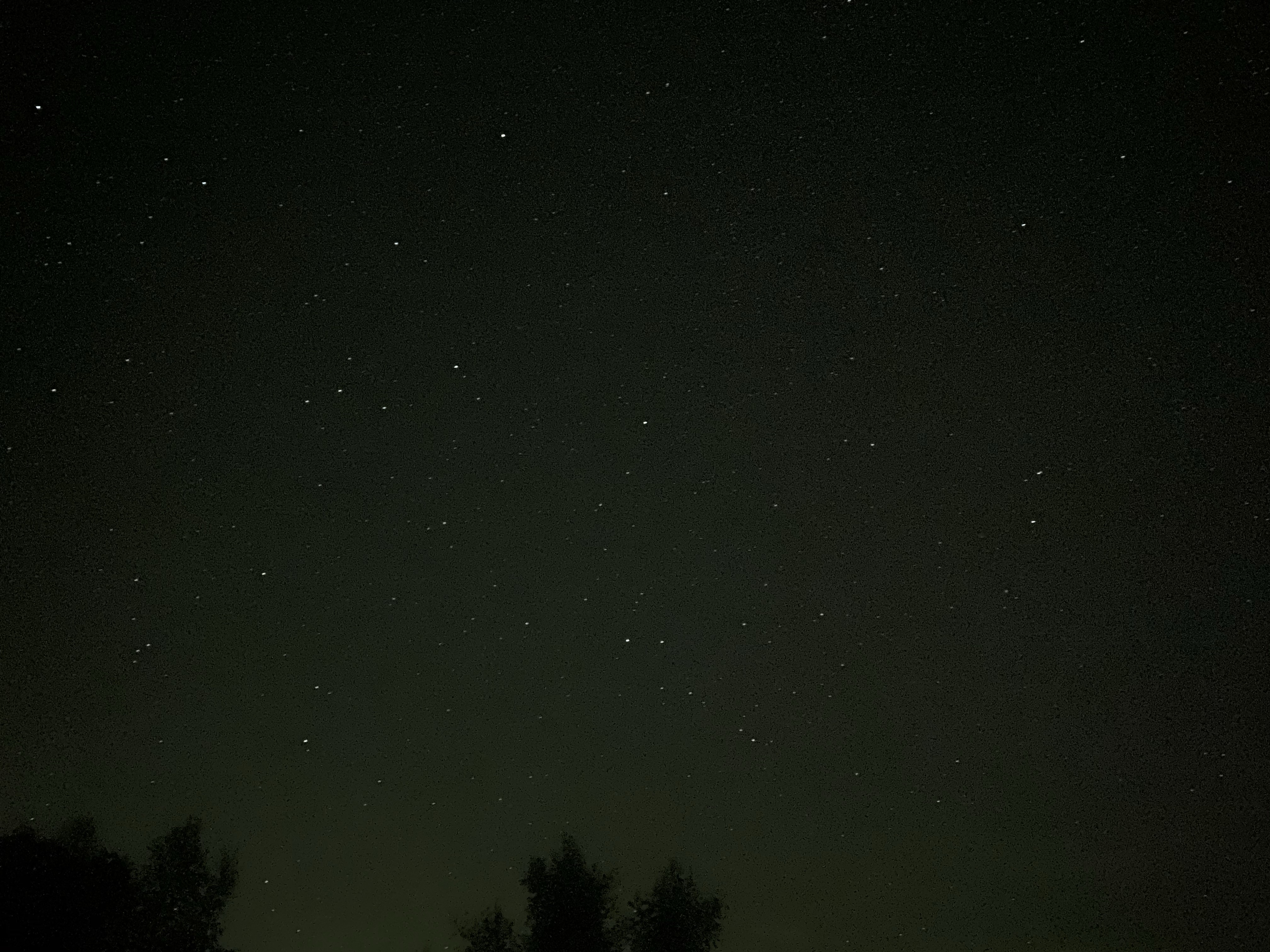 2D206557-A095-4BF2-94CC-F33C25E10002.jpeg