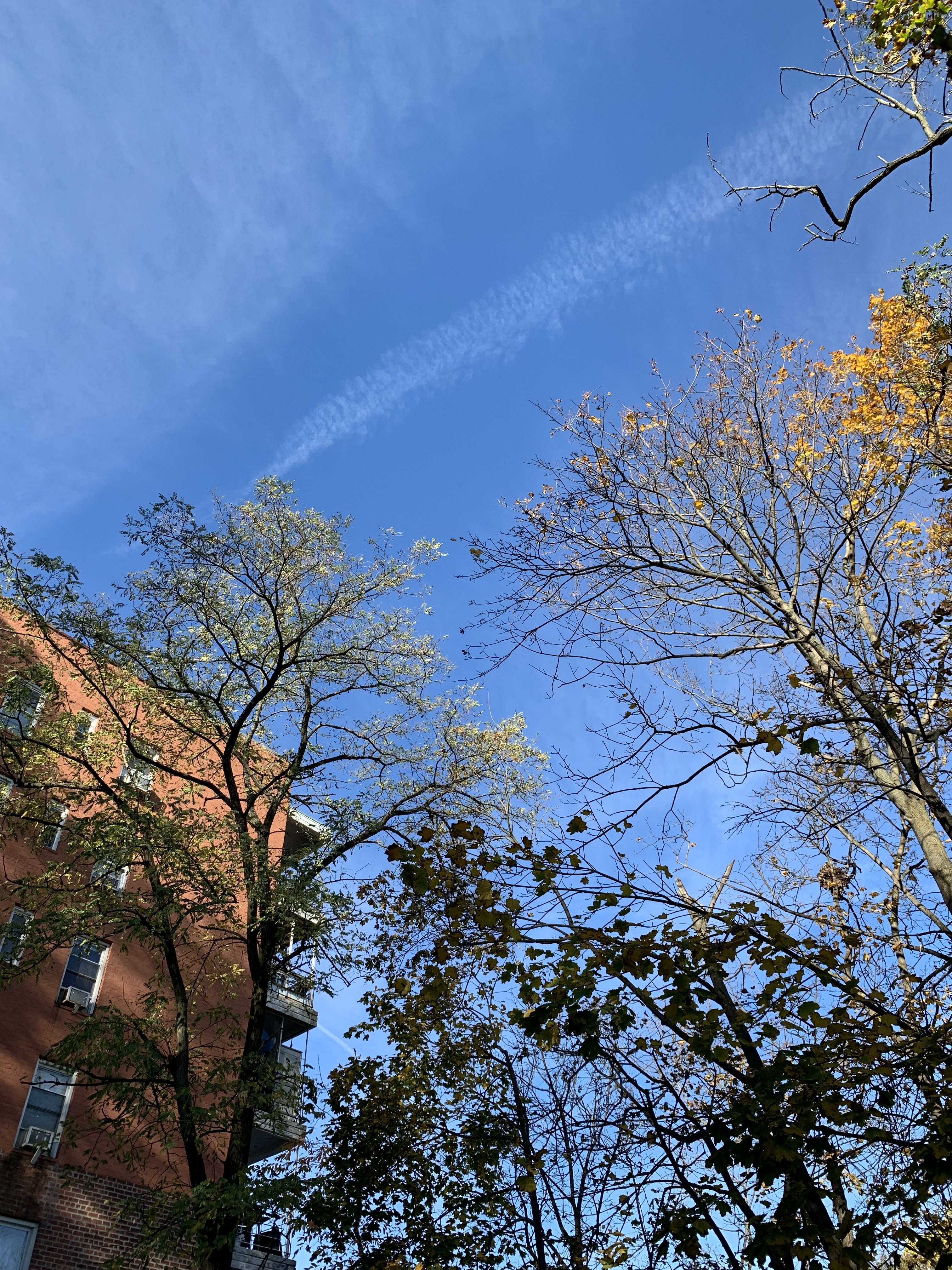 2E85F129-A013-417E-8D7B-9588C6E272E1.jpeg