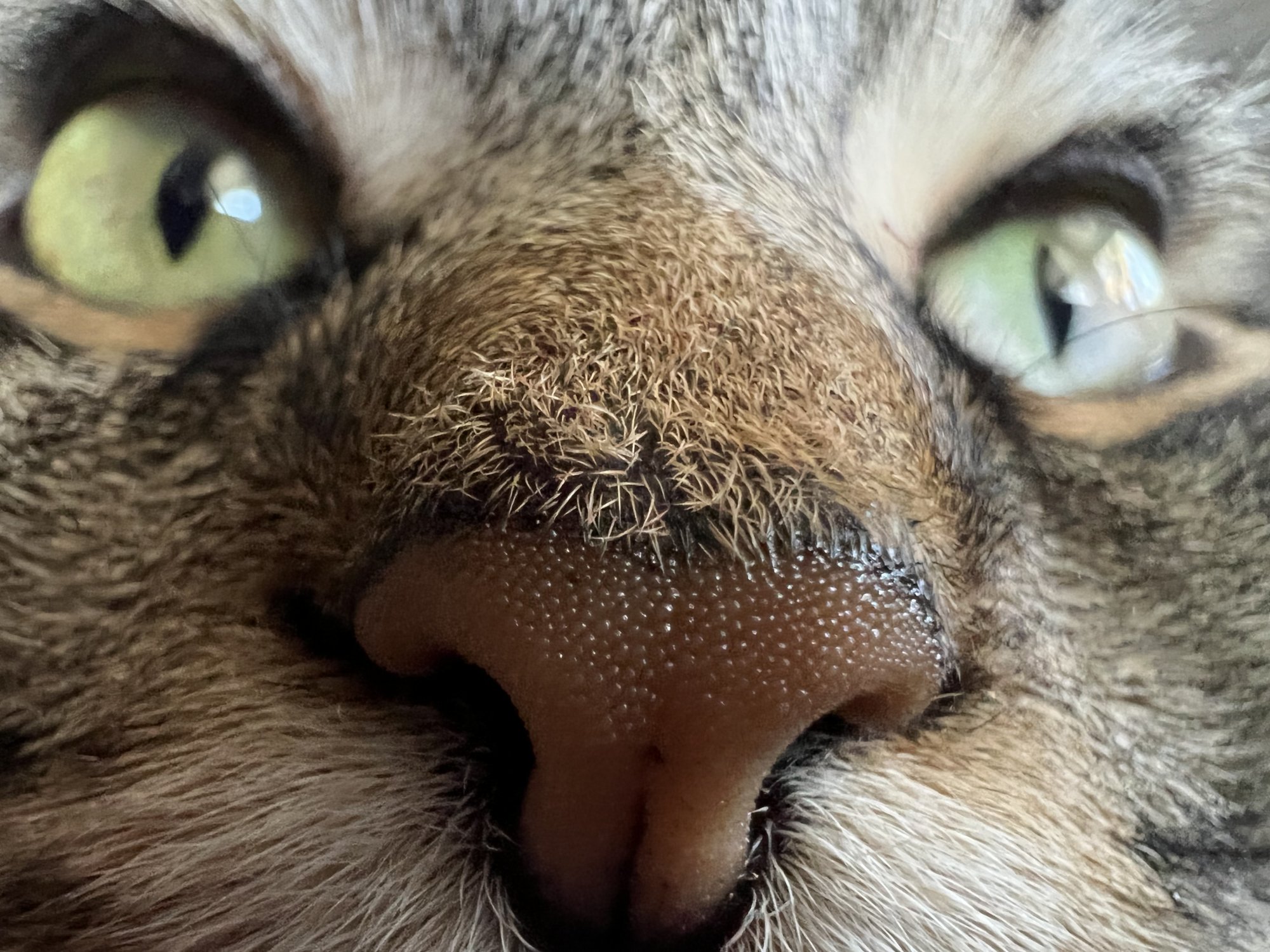 2F8BC3D0-880F-4E03-8D8D-19BC33547636.jpeg