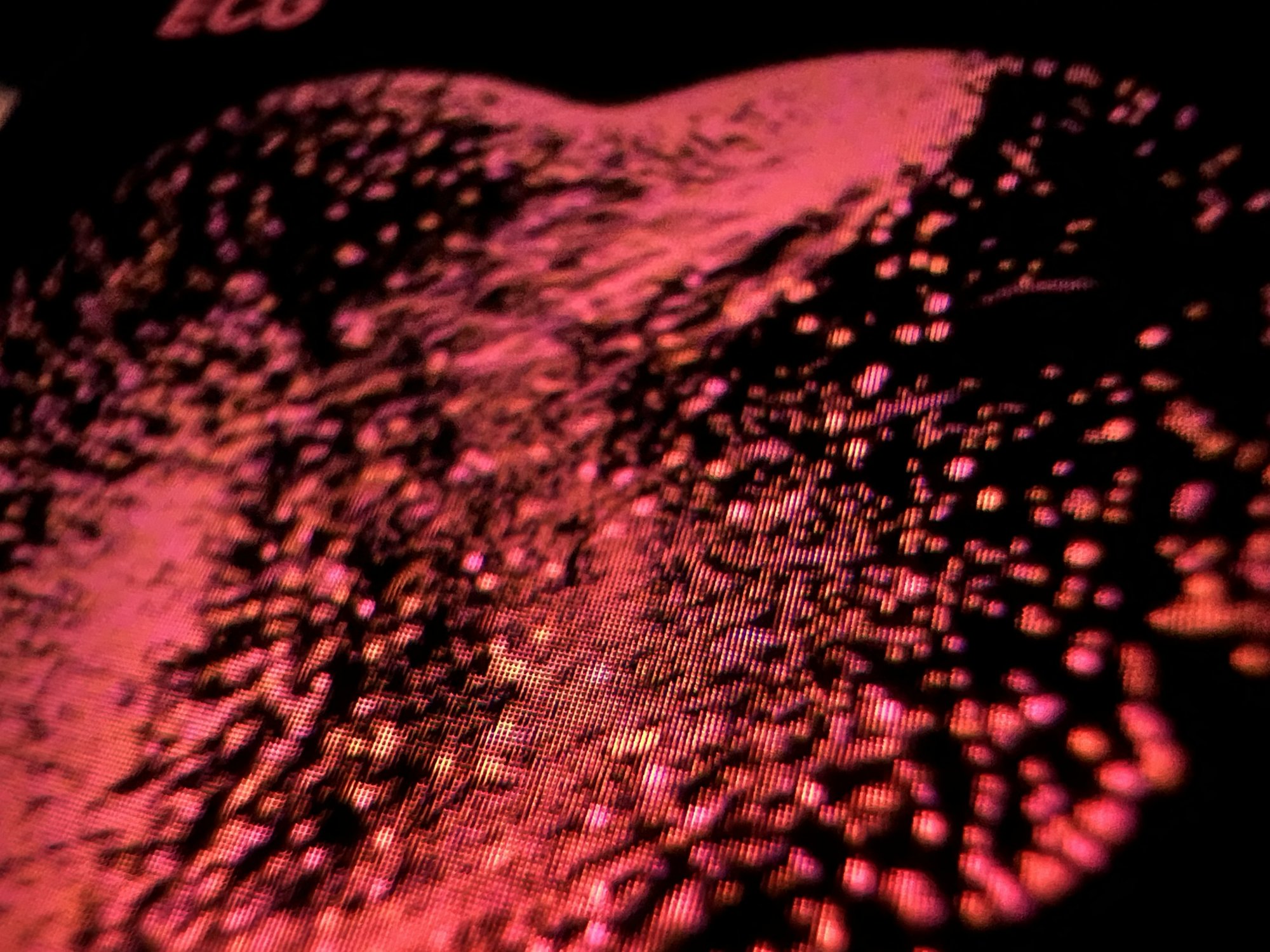 335664F3-BA53-44F4-965F-902306868D38.jpeg