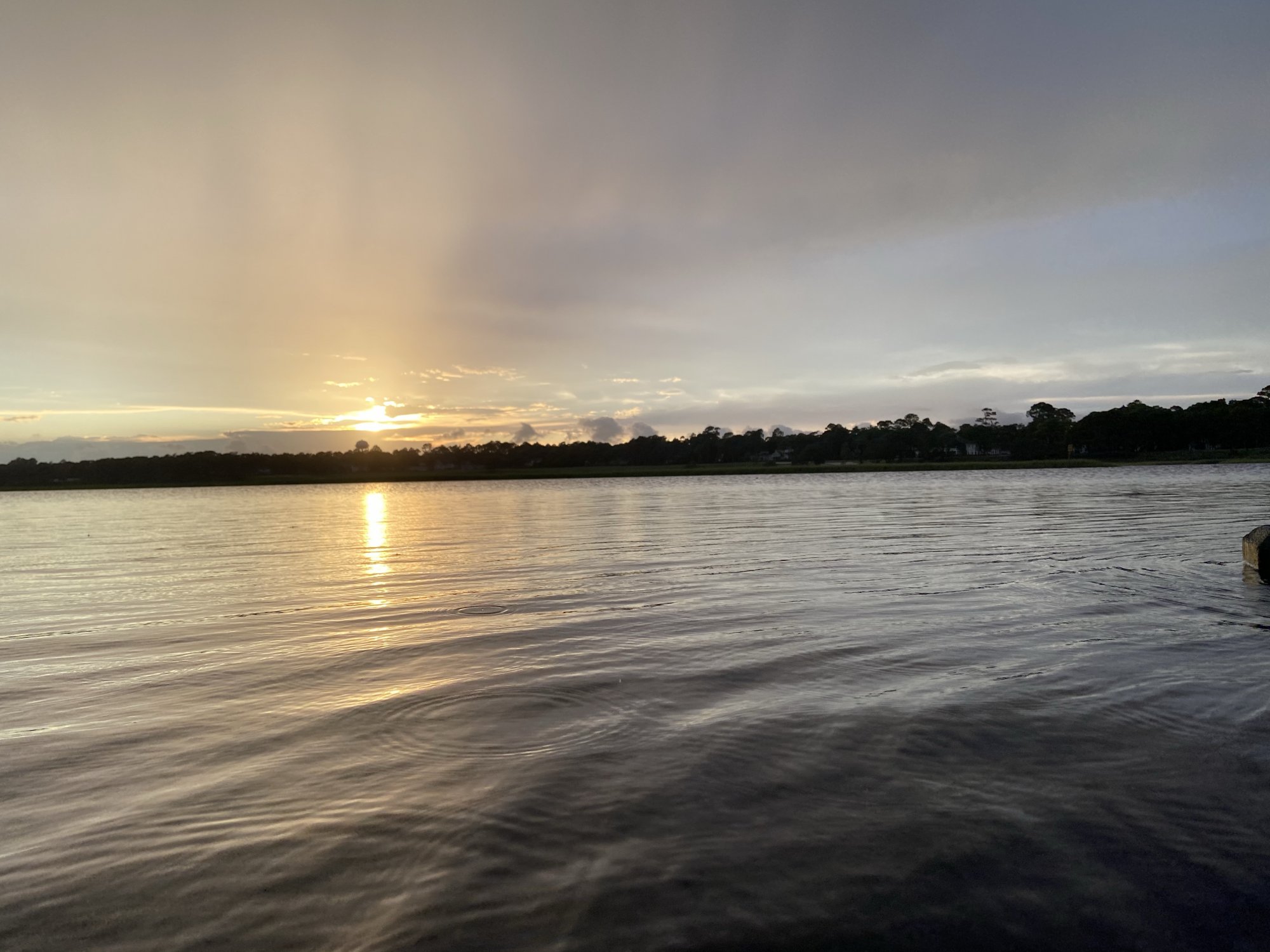 34DC91DA-64F0-458C-A04F-503B30C7E780.jpeg
