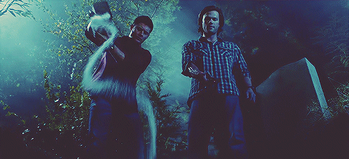 36EC9B41-6E73-4EB2-A6A9-6E284F59334C.gif