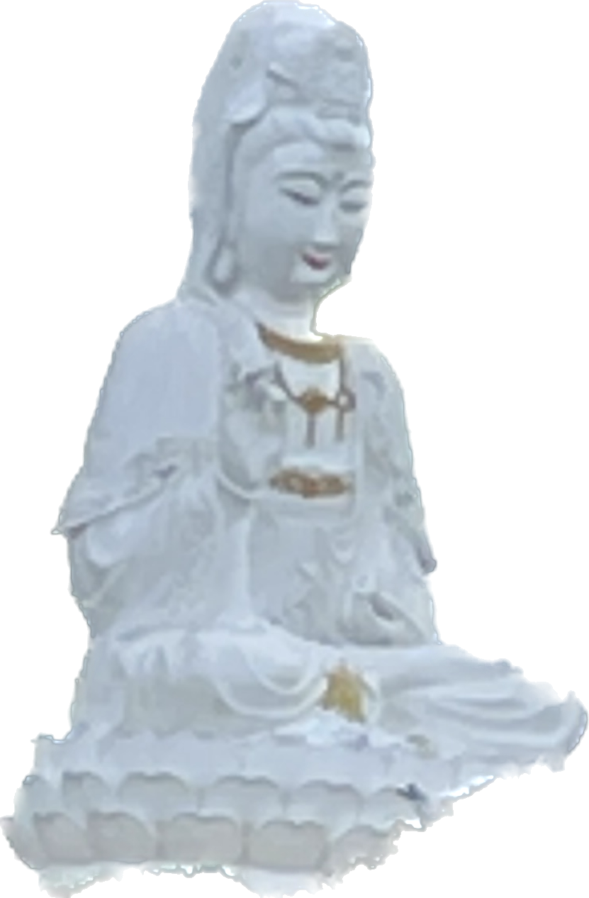 3A86FEE1-5CBF-4BD5-BA94-42CDAE7B8095.png